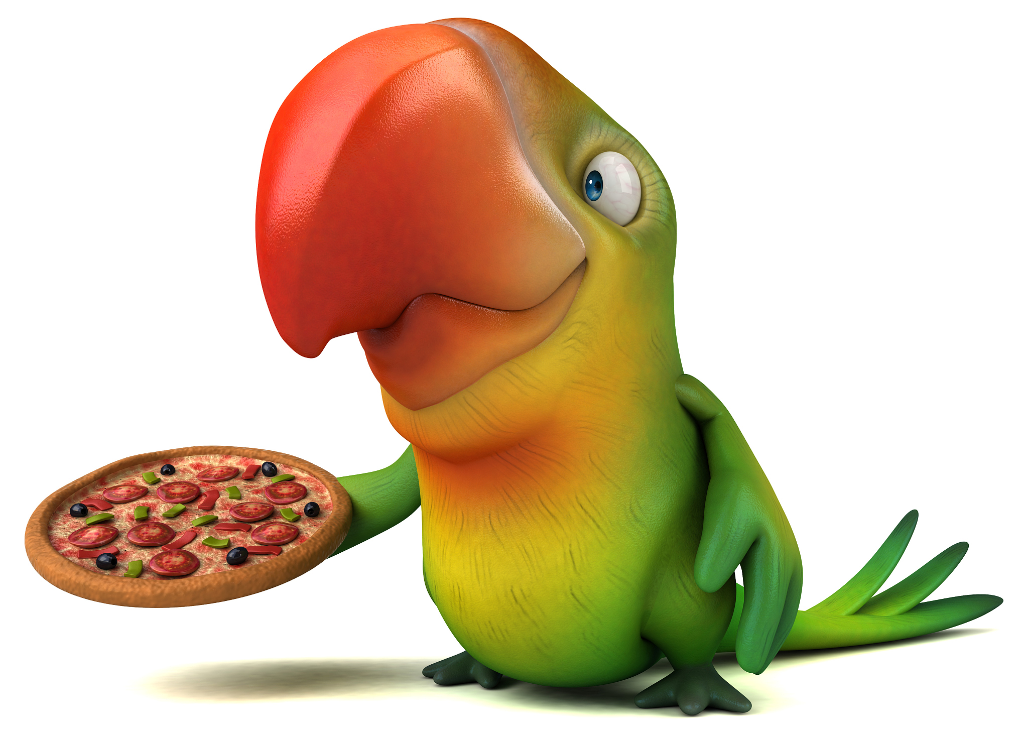 fun parrot