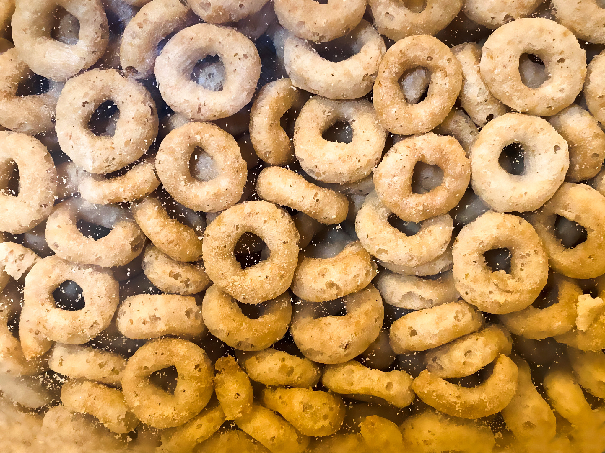 黑木耳有那些营养元素