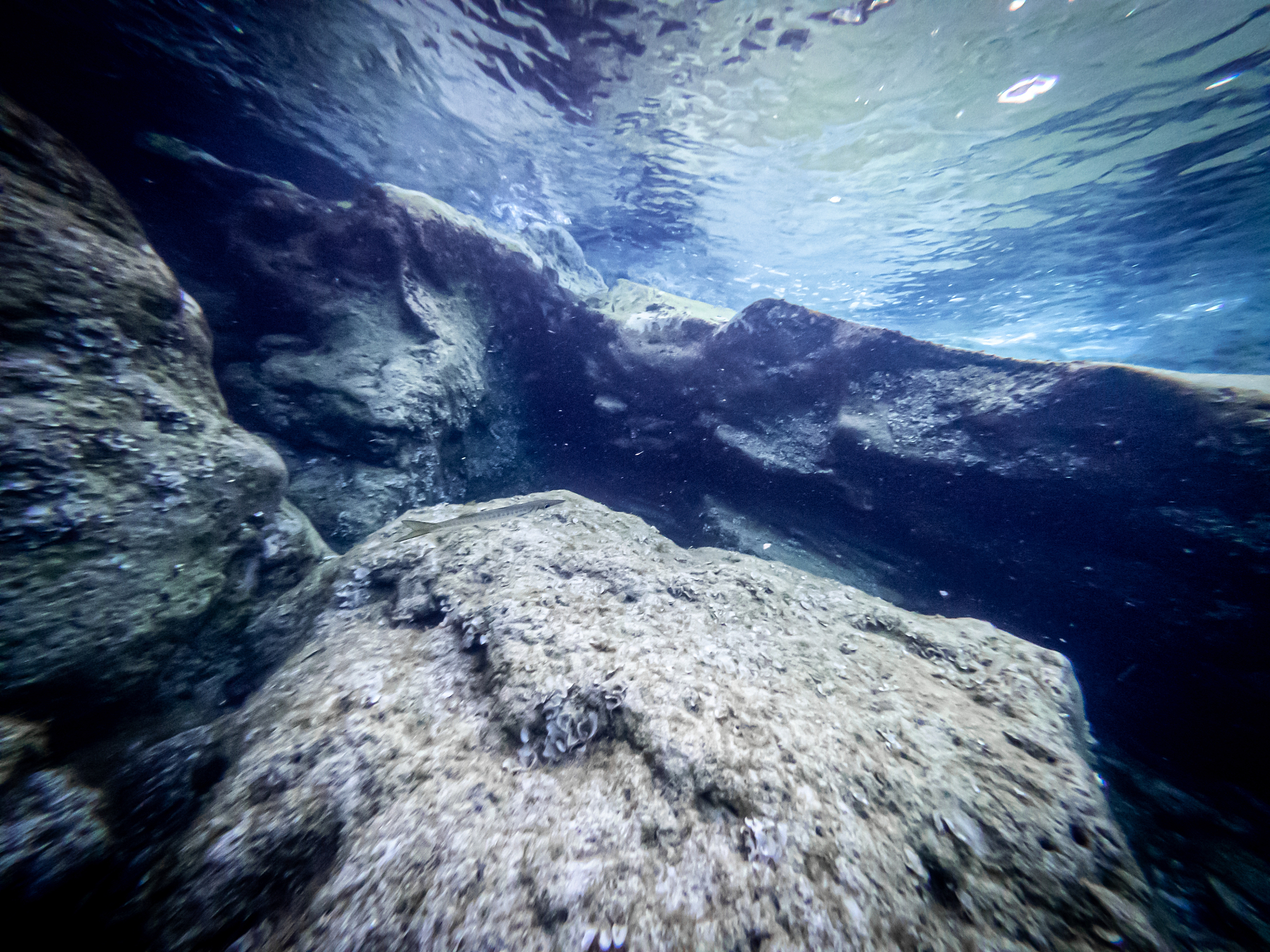 underwater view of the seabed in san lorenzo, sicily