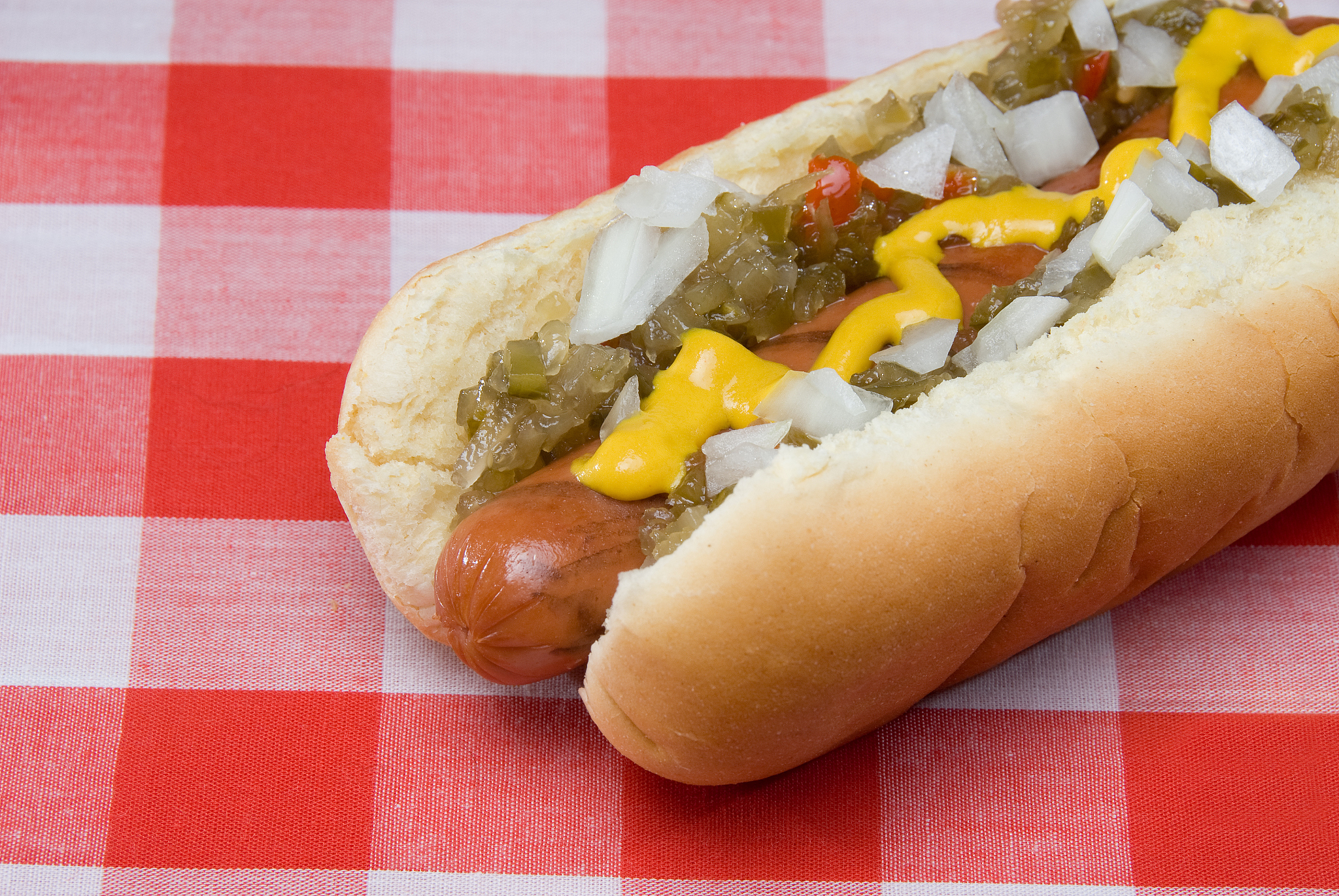 a hotdog with all the works on it