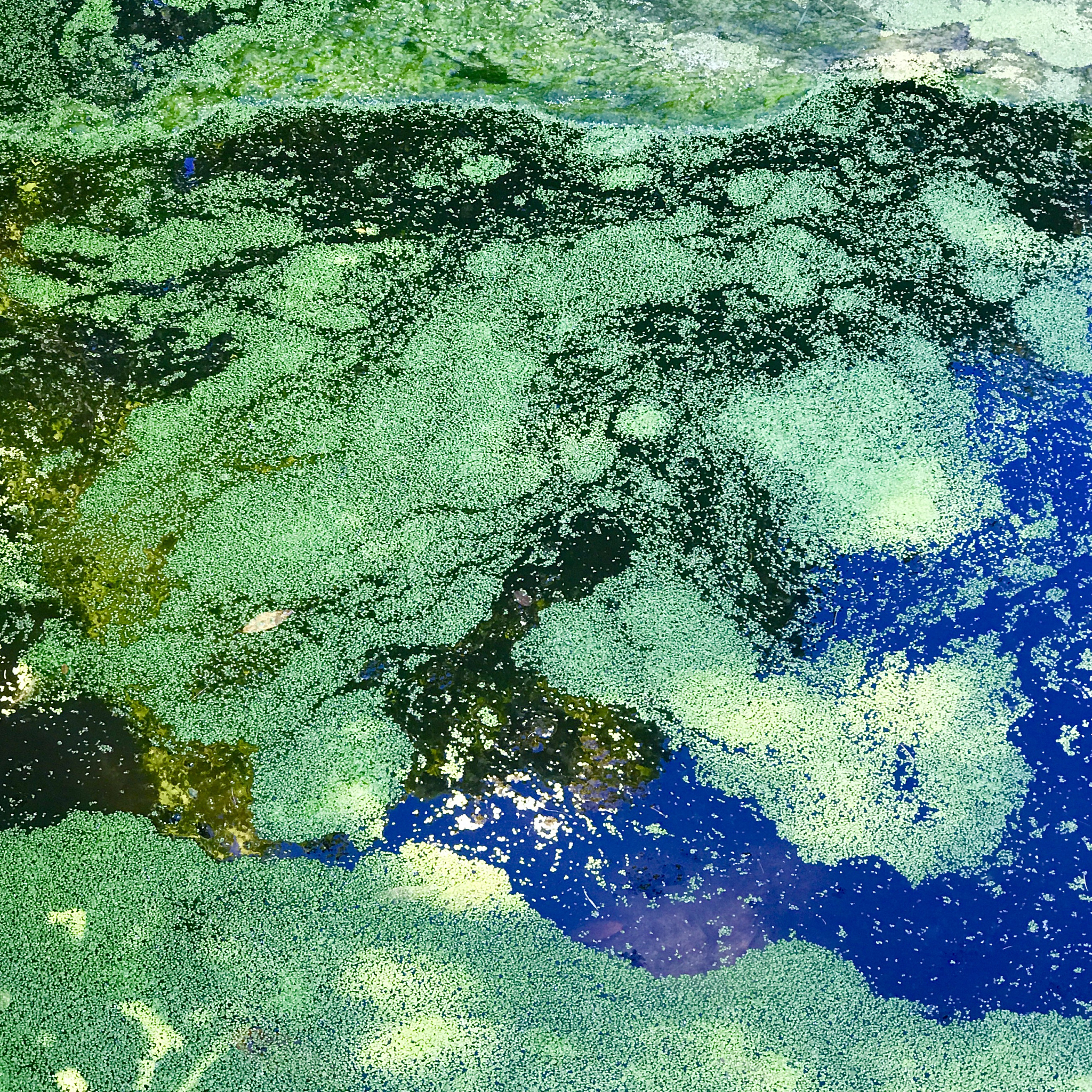 水下成像：挑战与机遇 - 湍流、散射与新技术突破
