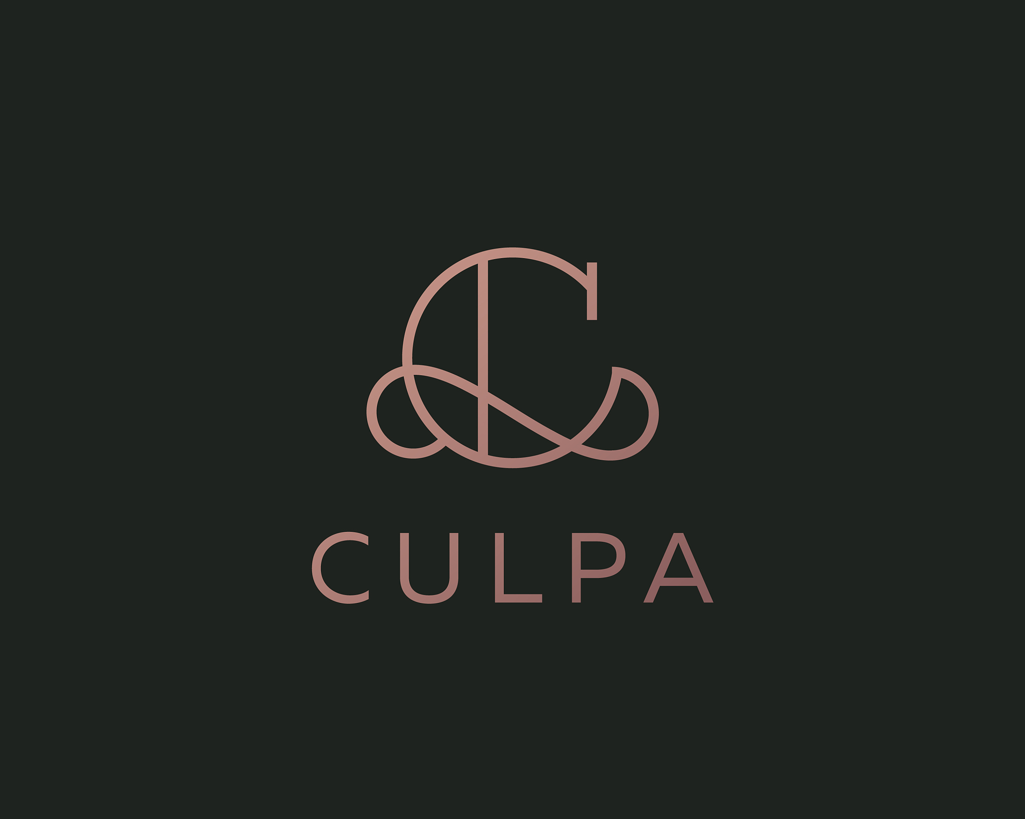 elegant line curve logotype premium letter