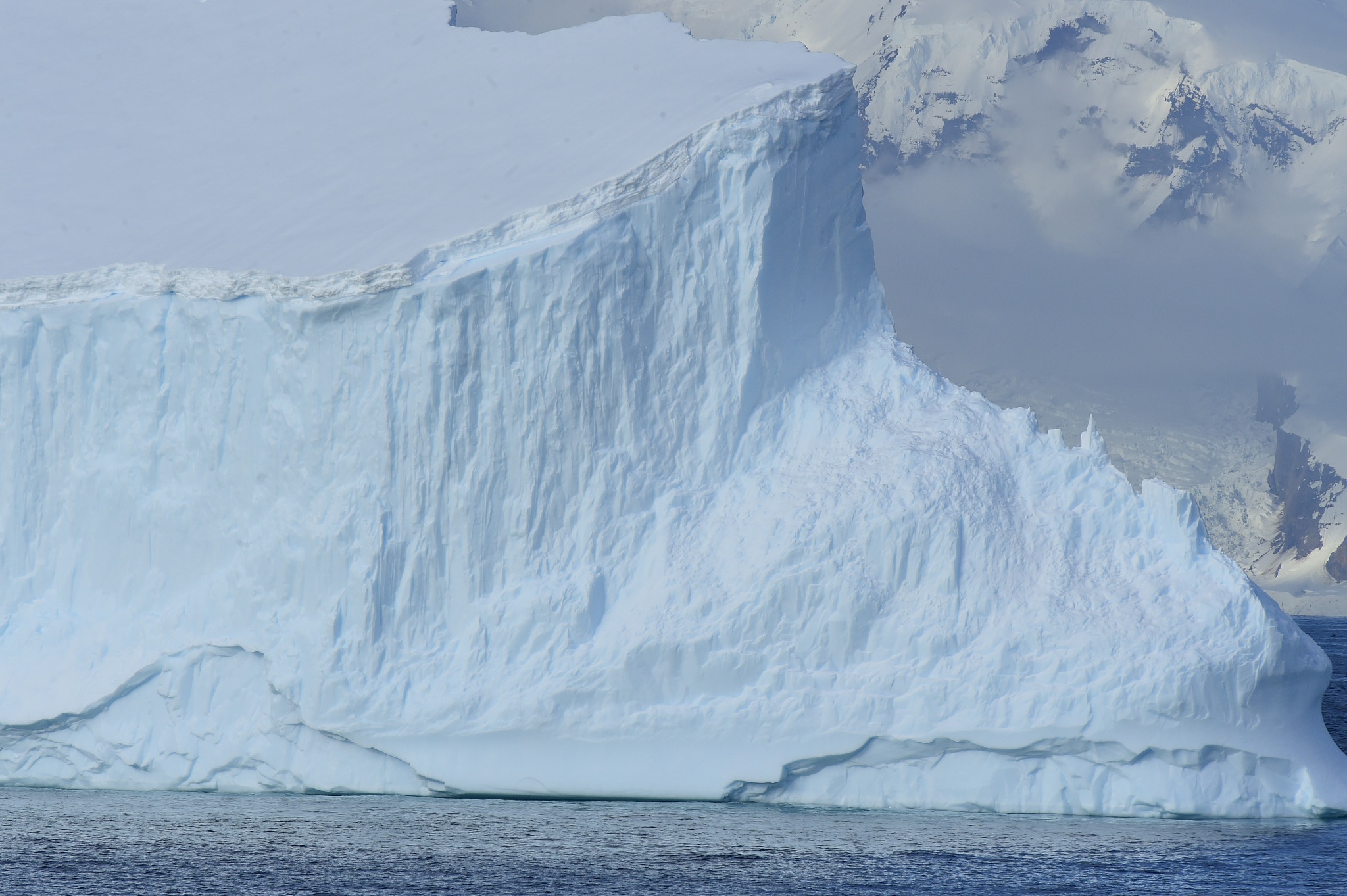 antarctica