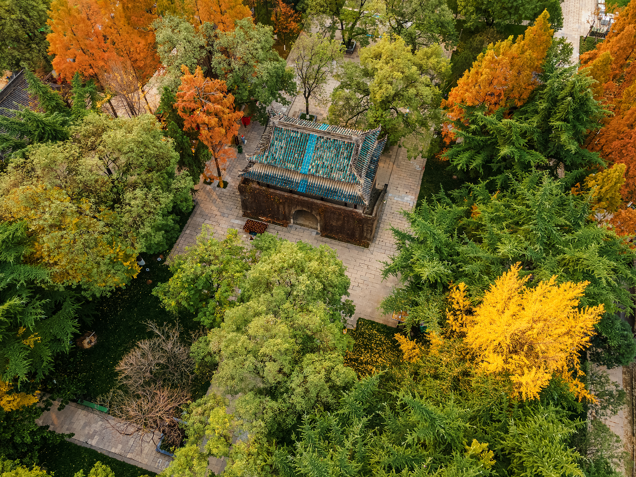 西安医护专修学院2022年招生专业：医学、护理、药学、康复学等