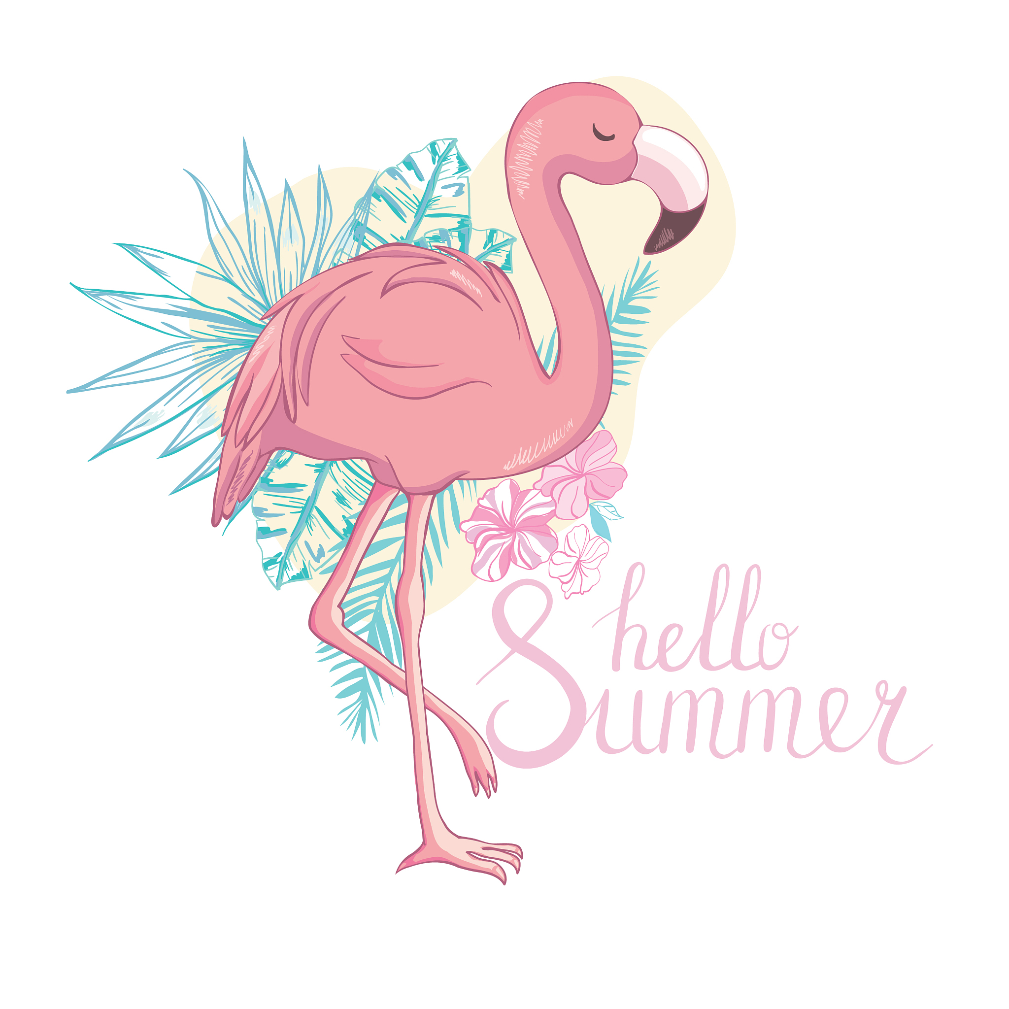 Flamingo翻译翻译