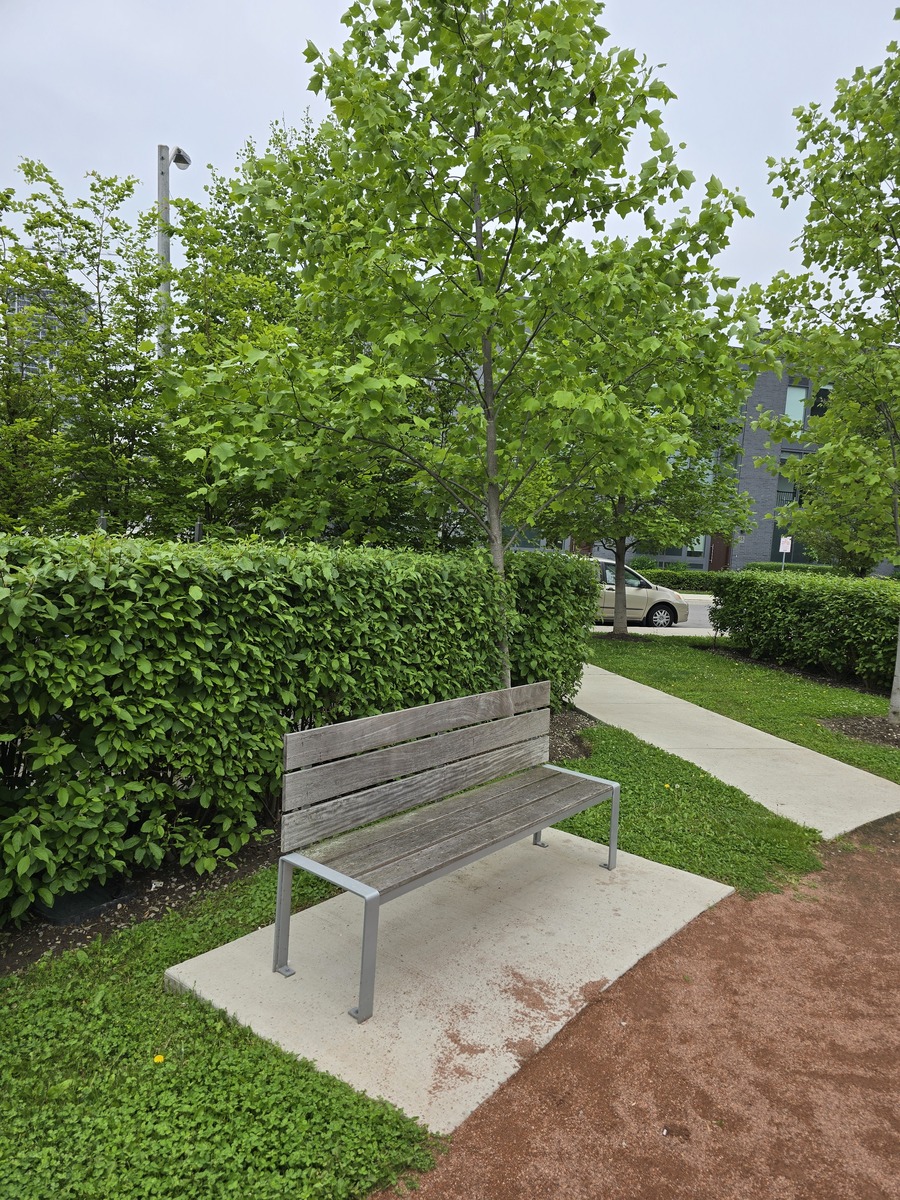 打造自然社交空间：提升居民幸福感的社区营造方案