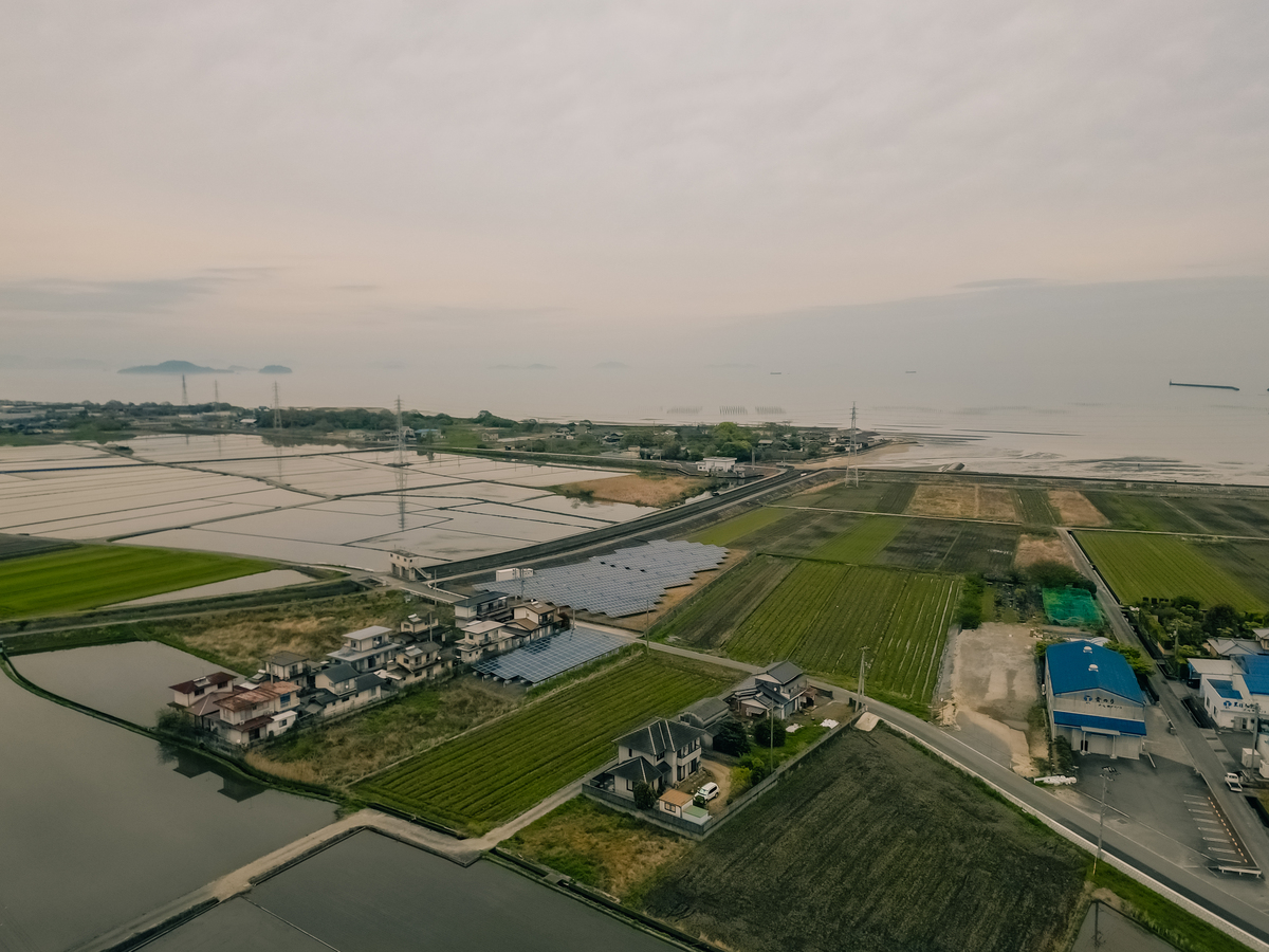 你可以具体列举萧山农田围垦工程的代表工程吗