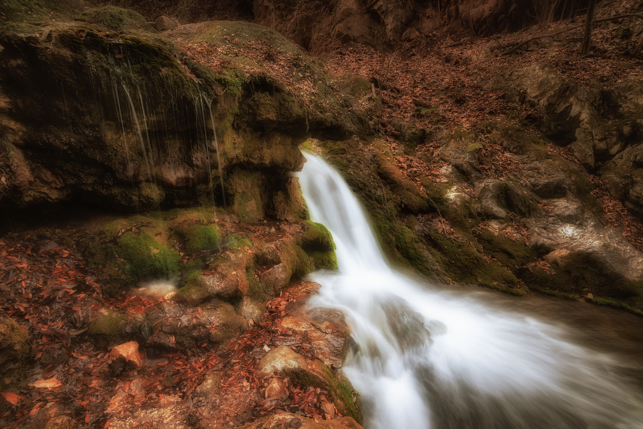 黑龙江农垦职业学院旅游管理专业专业好不好发展前景怎样
