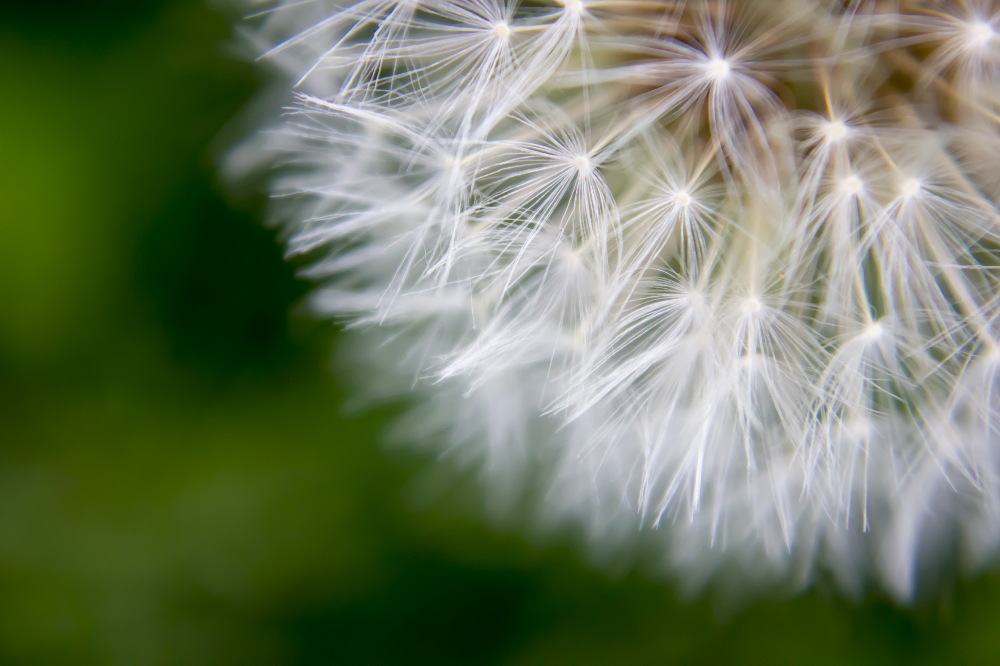 武威职业学院种子生产与经营专业都学些什么