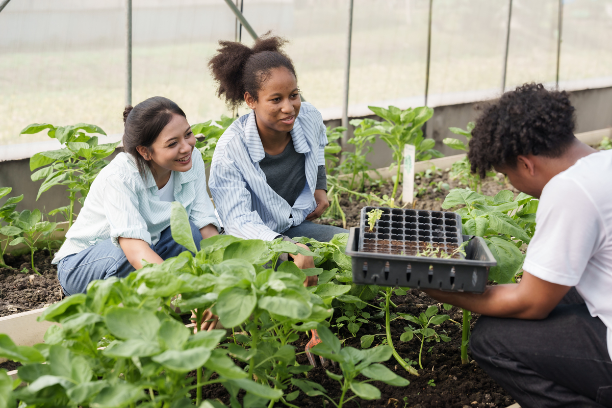 楚雄农业学校果蔬花卉生产技术专业就业前景广阔