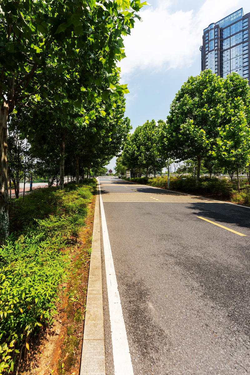 S352省道江都段谁管理路边的卫生及绿化用250字帮我详细描述