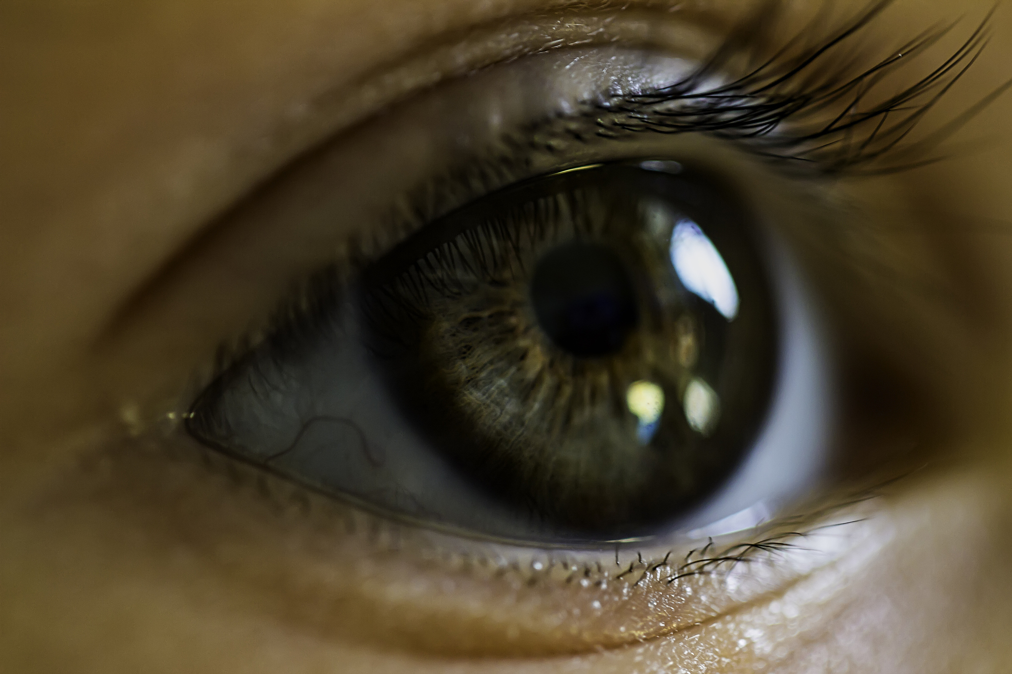 beautiful greenish boy eye closeup