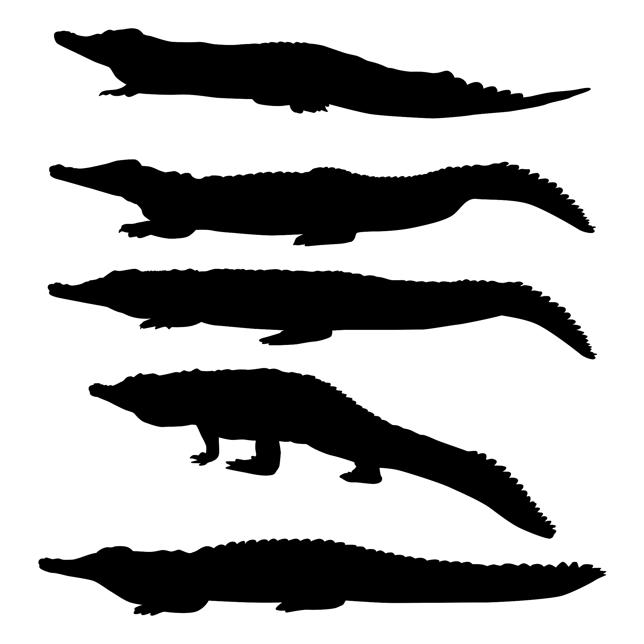 crocodiles