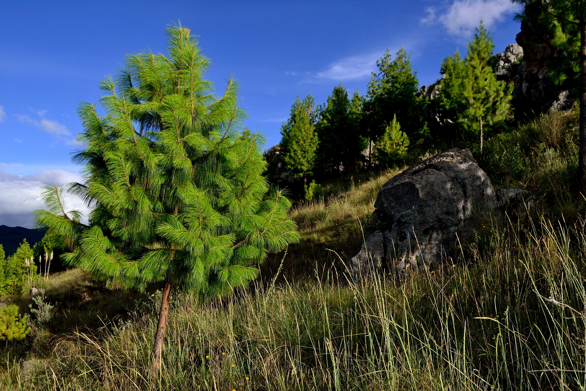 云南航空旅游职业学院2022招生简章怎么样