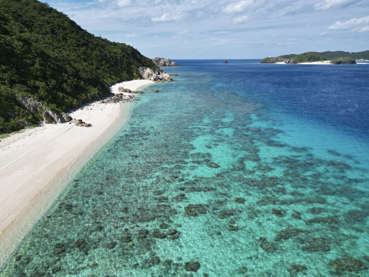 斐济旅游指南：探索南太平洋的热带天堂