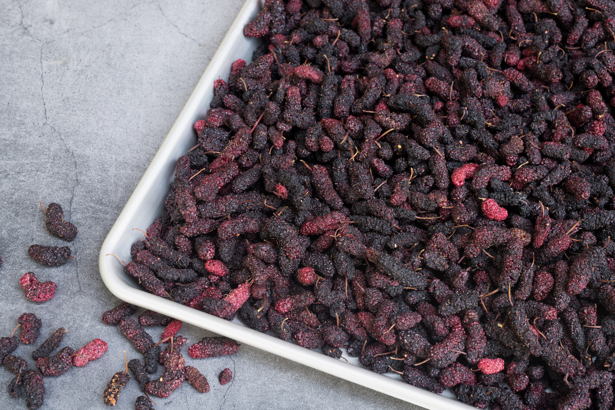 桑蚕果泡酒功效：10大益处，提升免疫力、延缓衰老