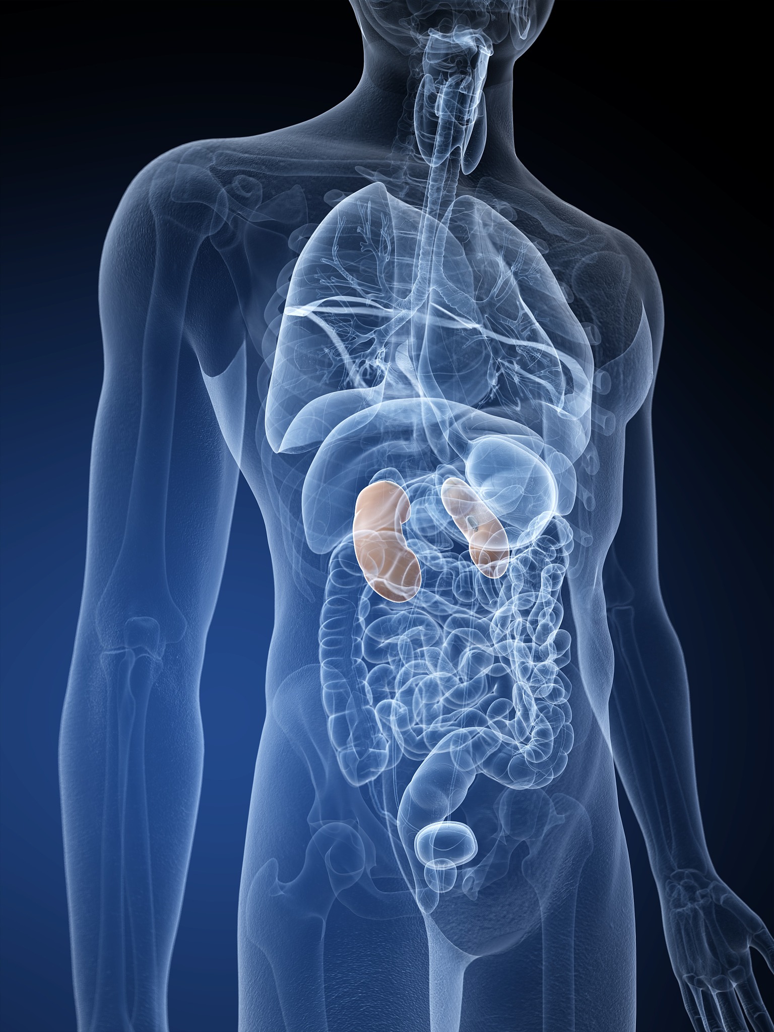 云南省玉溪市红塔区最好的高铁学校-好不好