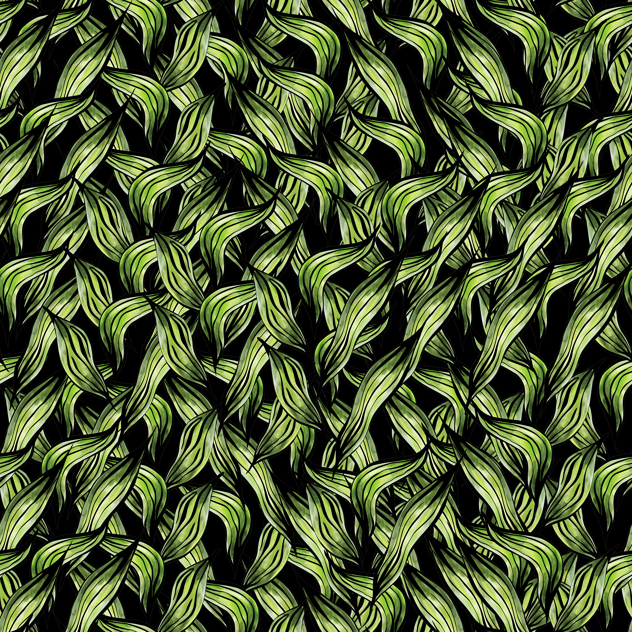 南非植物学杂志 (South African Journal of Botany): 研究范围及投稿指南