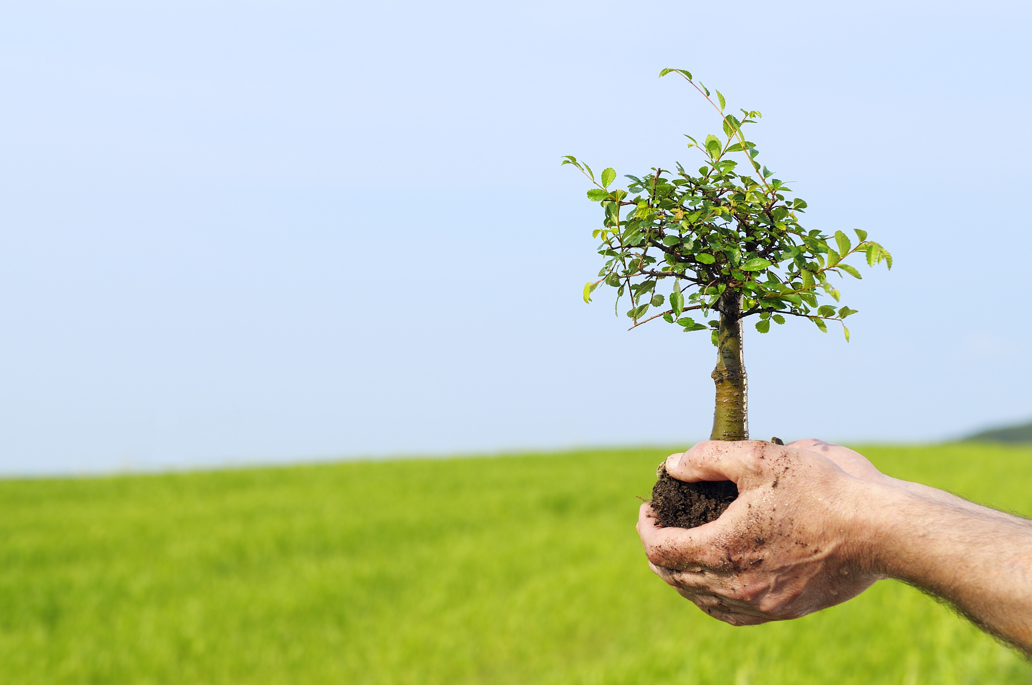 题目描述植树节快要到了学校要组织志愿者去给树苗浇水。 有一排树苗编号依次是 012 。 现有 n 个志愿者去给树苗浇水第 i 个志愿者选定了一个区间 xy表示第 i个志愿者 将xy这一区间内的每一棵树都浇一次水。 如某个志愿者选择的浇水区间为 49 表示他将给编号为 456789 的树各浇水一次。 当所有的志愿者完成各自所选区间的浇水后可能有些树苗被不同的志愿者浇水多次也 可能有的树苗一次也