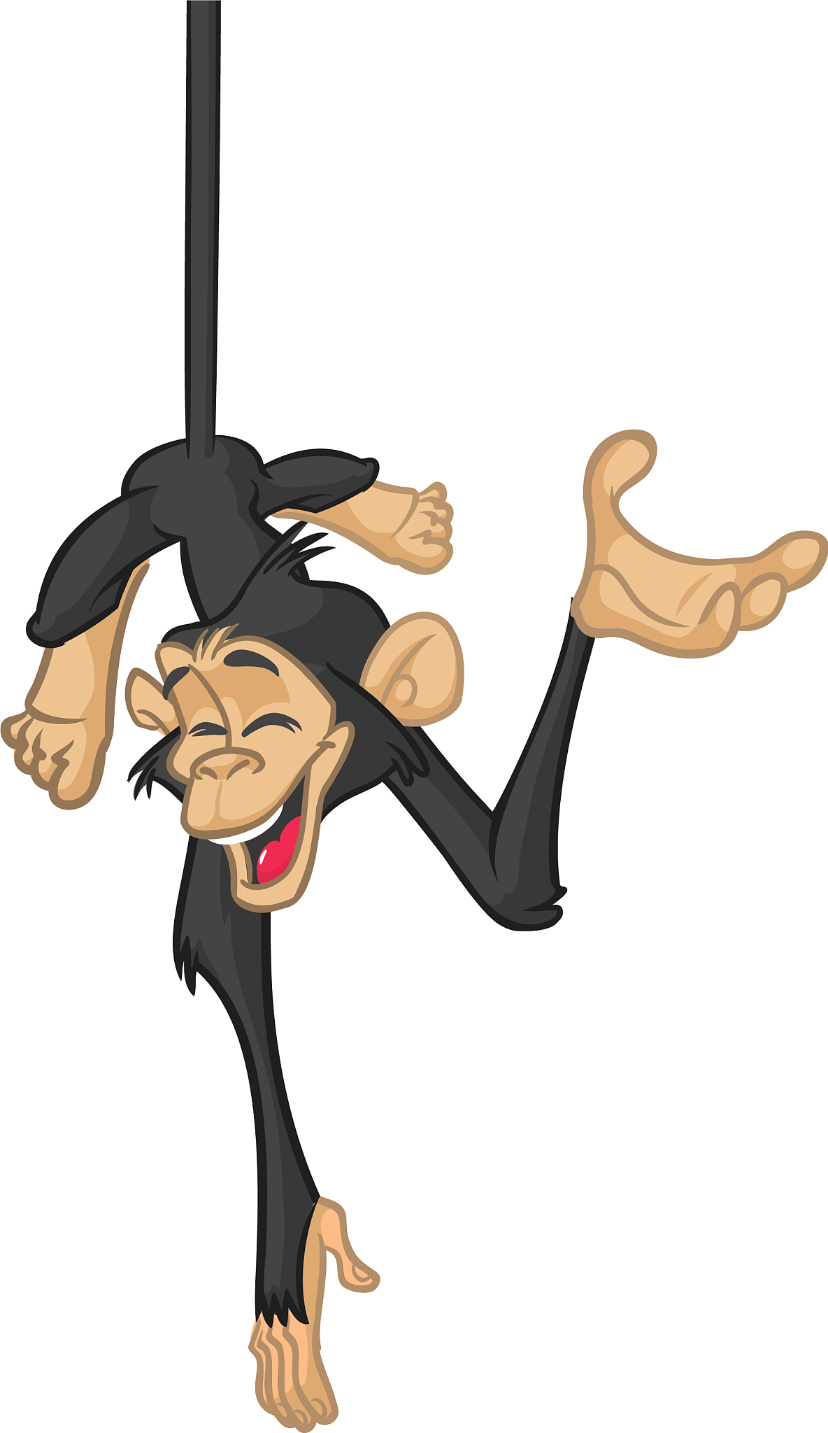 为什么猩猩没尾巴