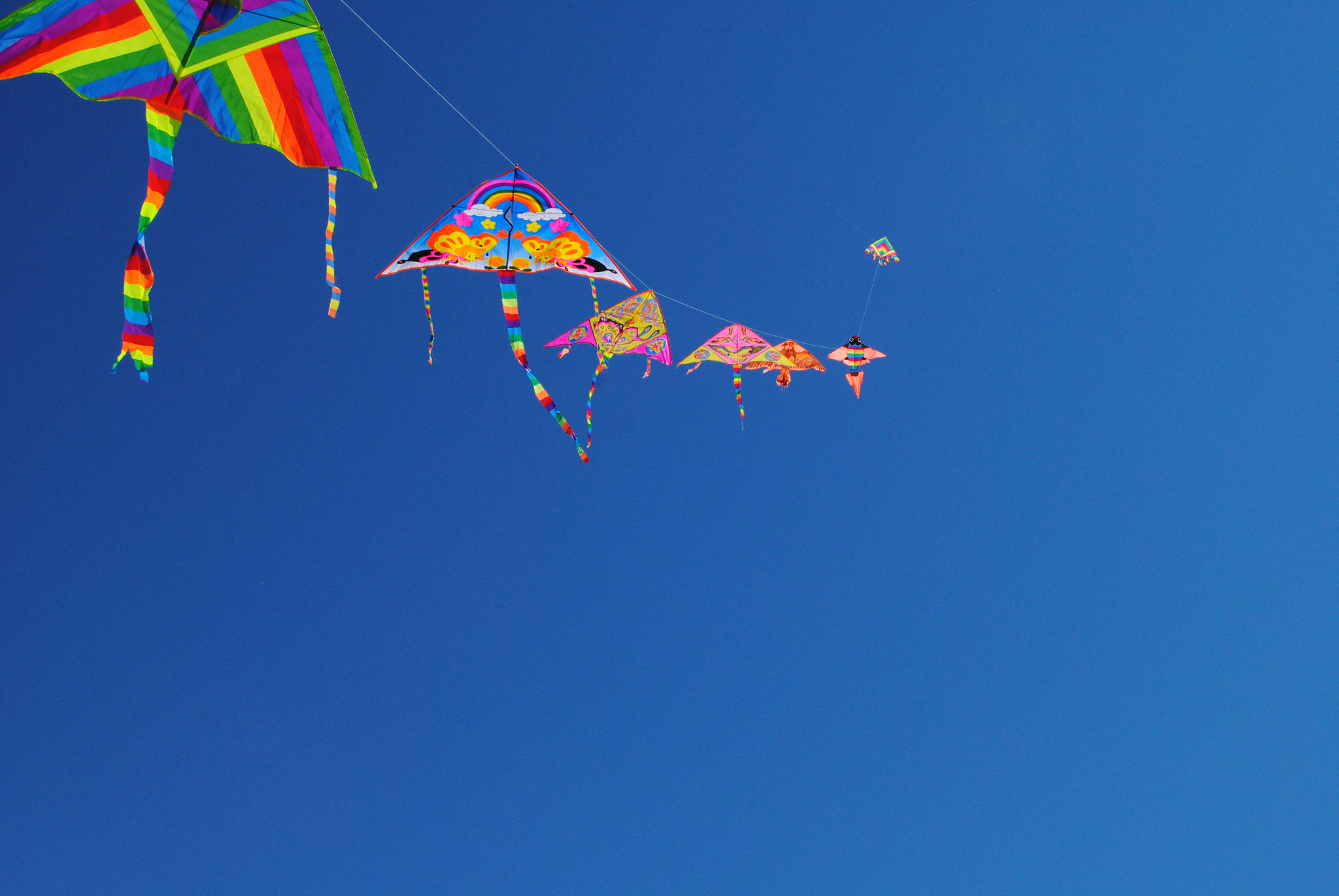 flying kites