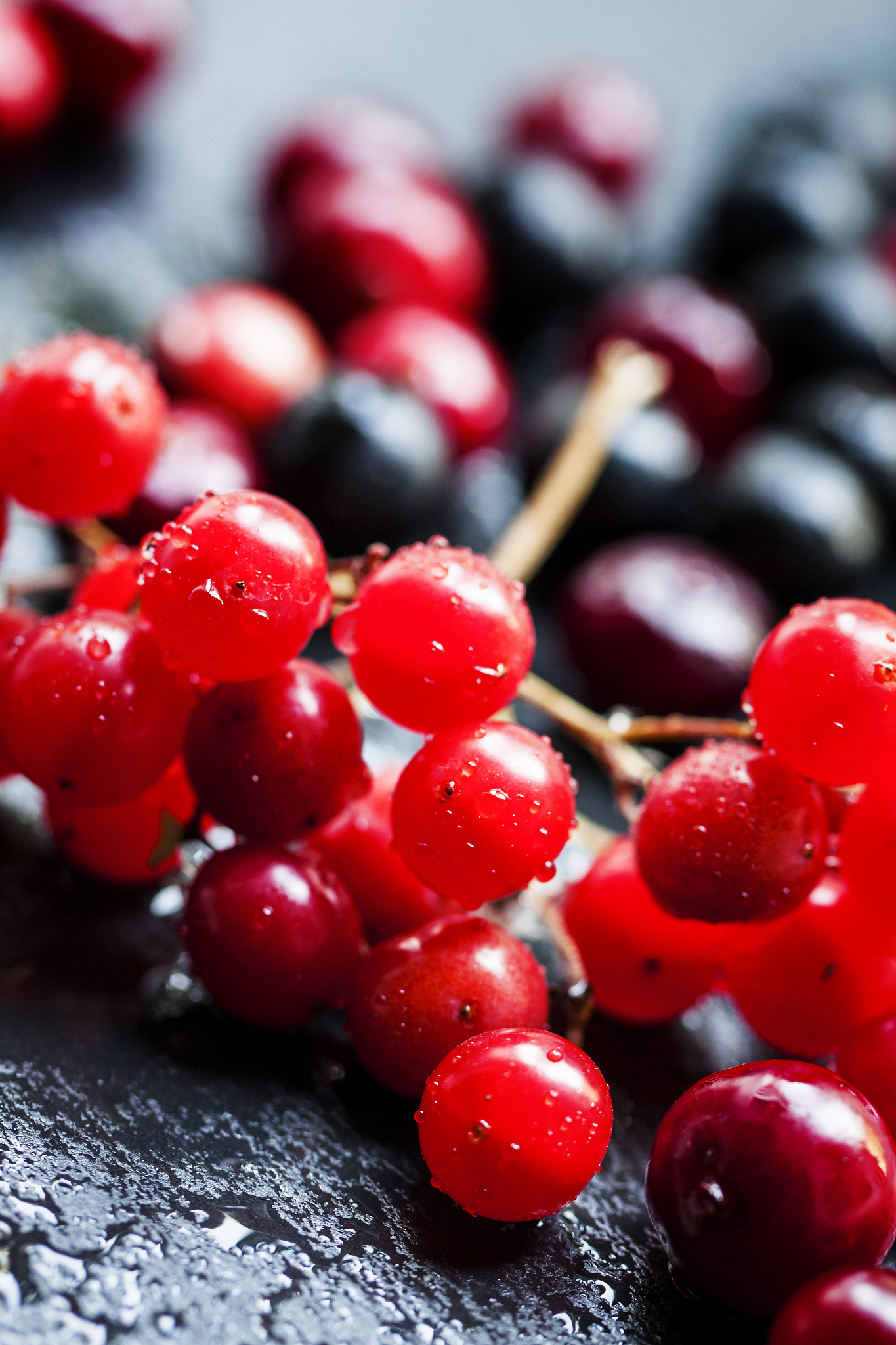 cranberry, cranberries, cranberry and chokeberry