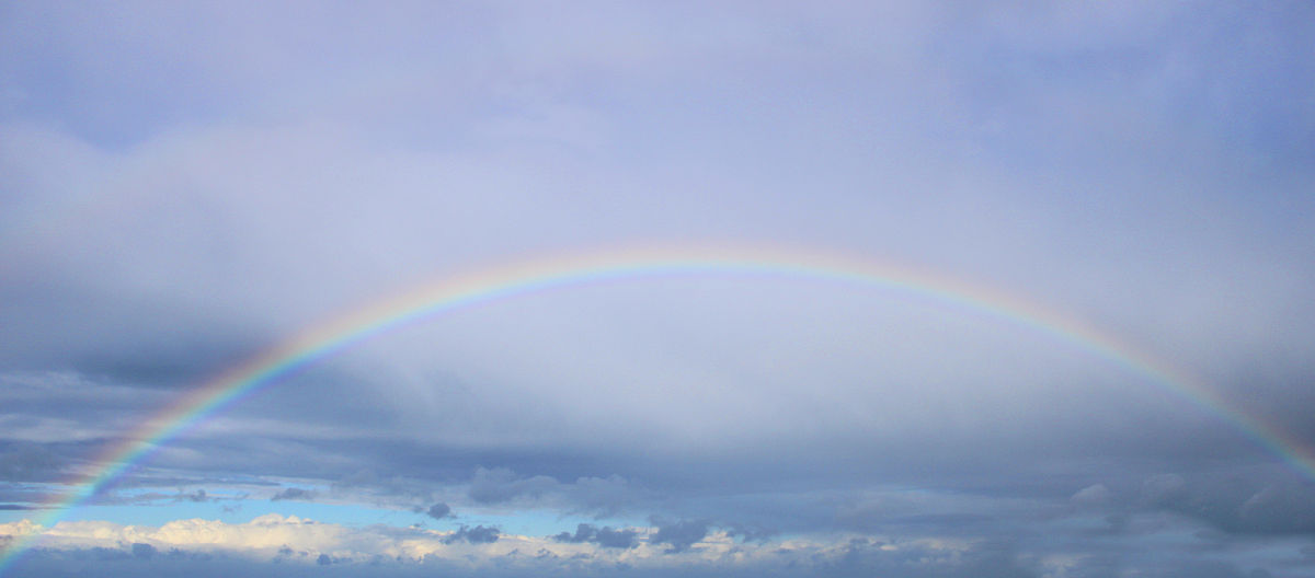 风雨过后见彩虹：生活中的挫折成就更强大的你