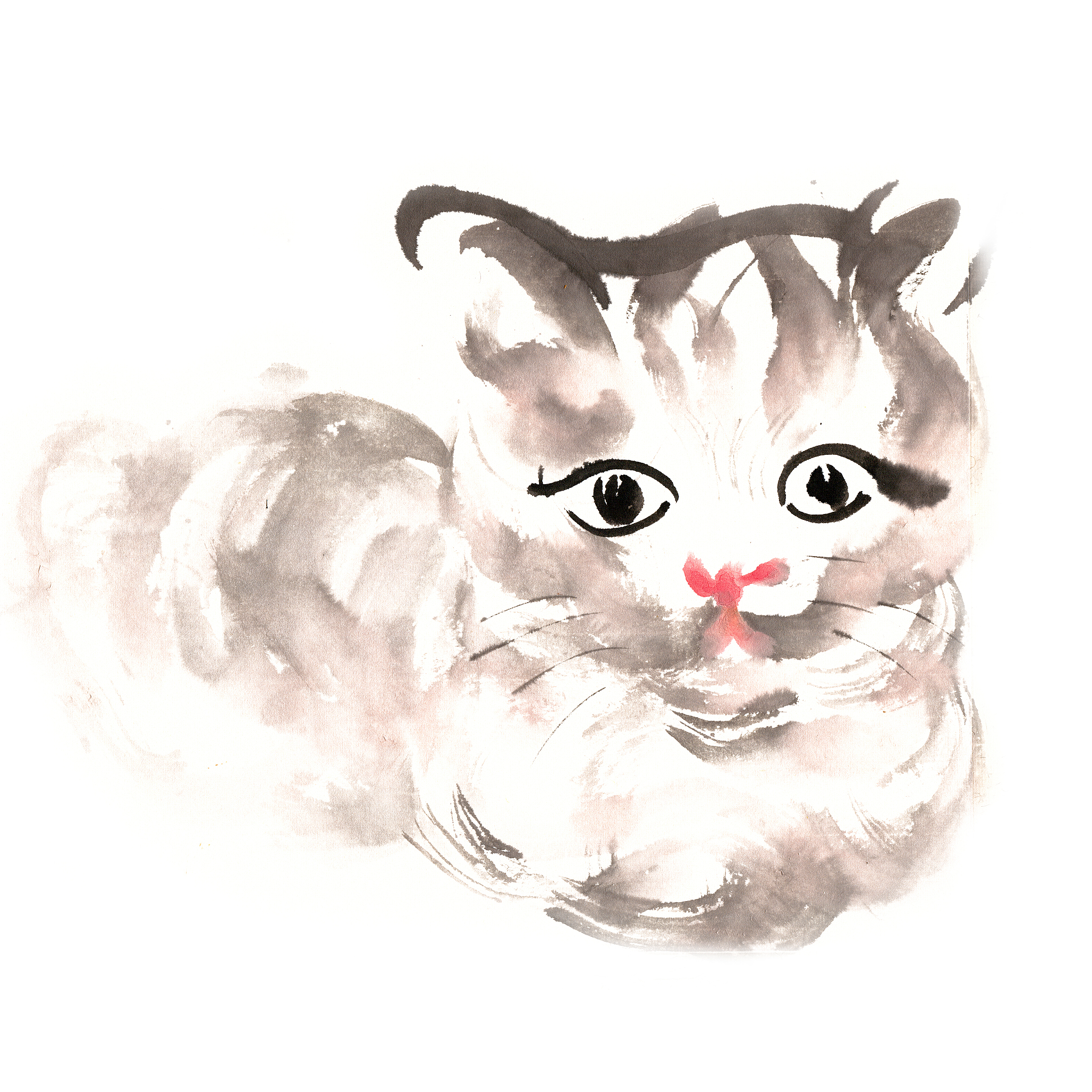 公猫名字中国风