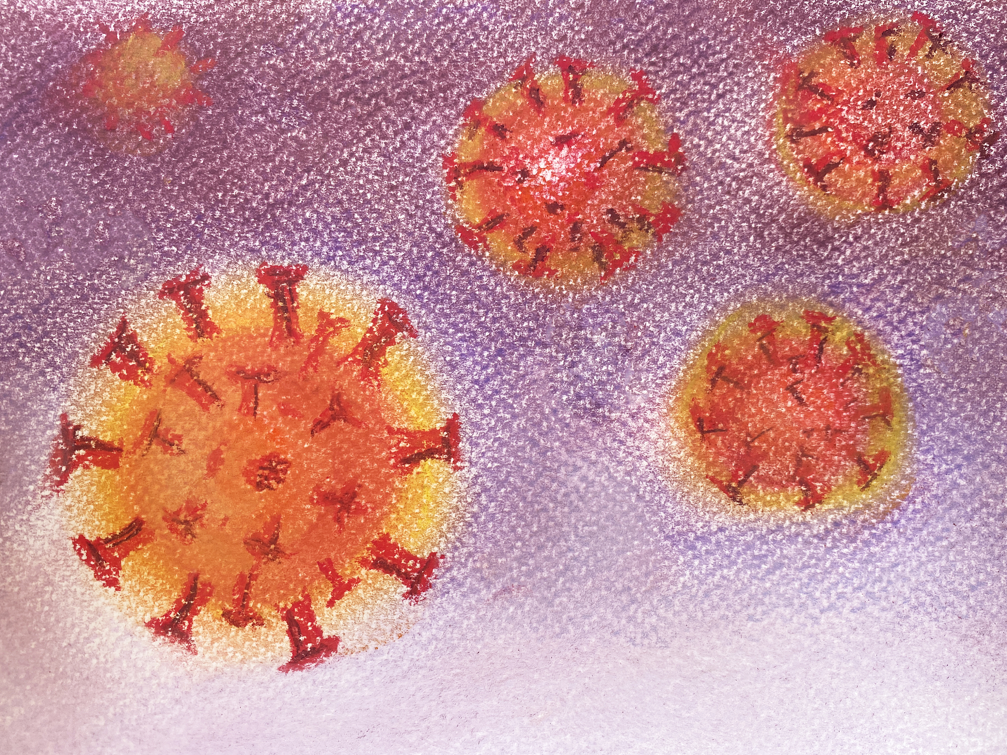 灵菌红素对感染了金黄色葡萄球菌小鼠肠道的治疗作用