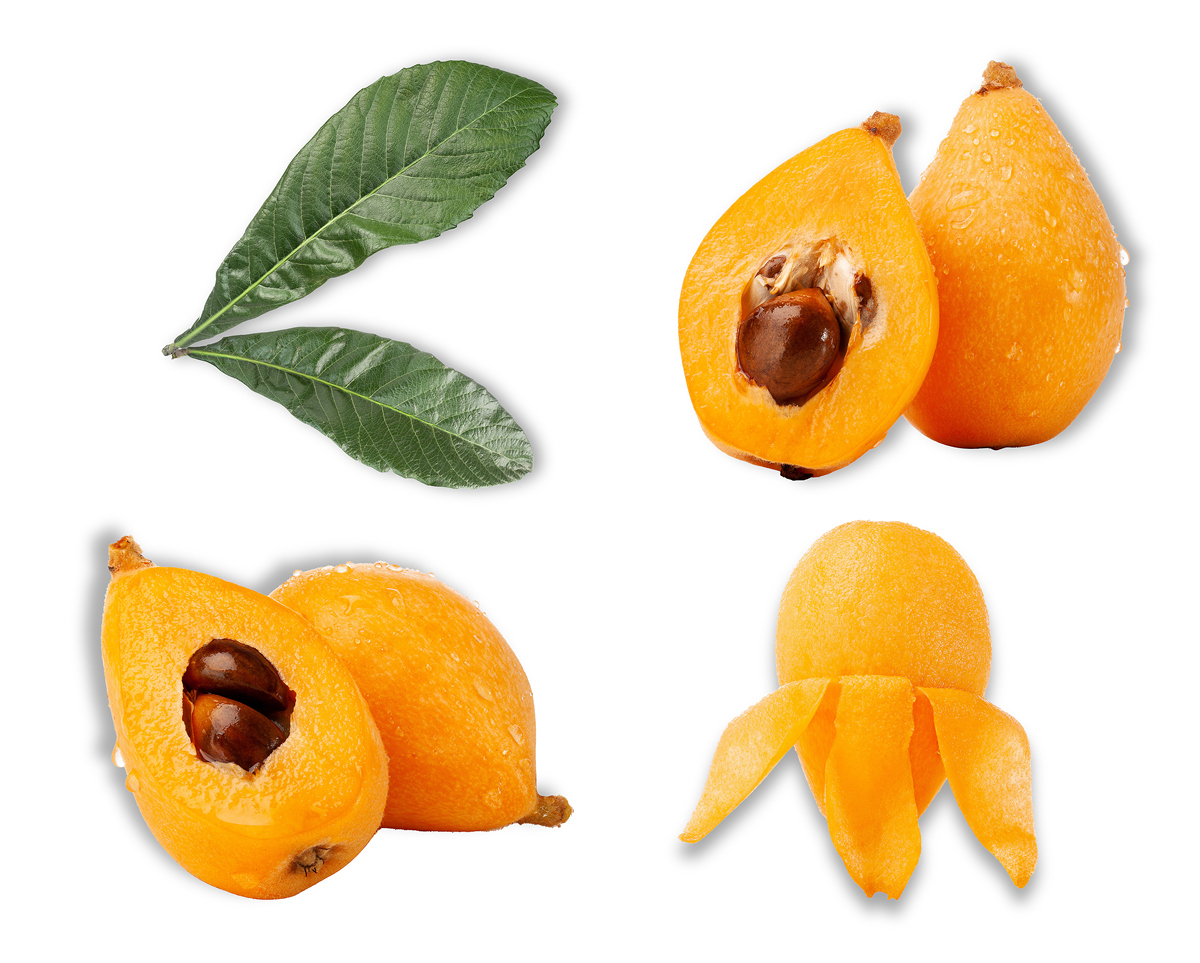 Loquat: The American Name for枇杷