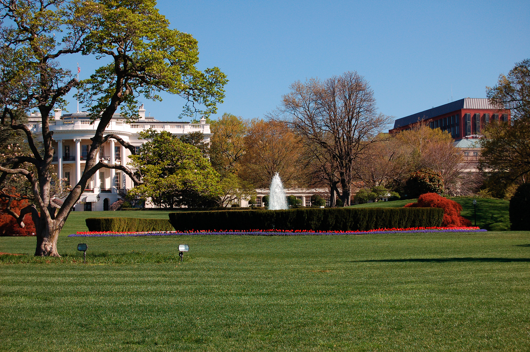 the white house (informal view) washington dc