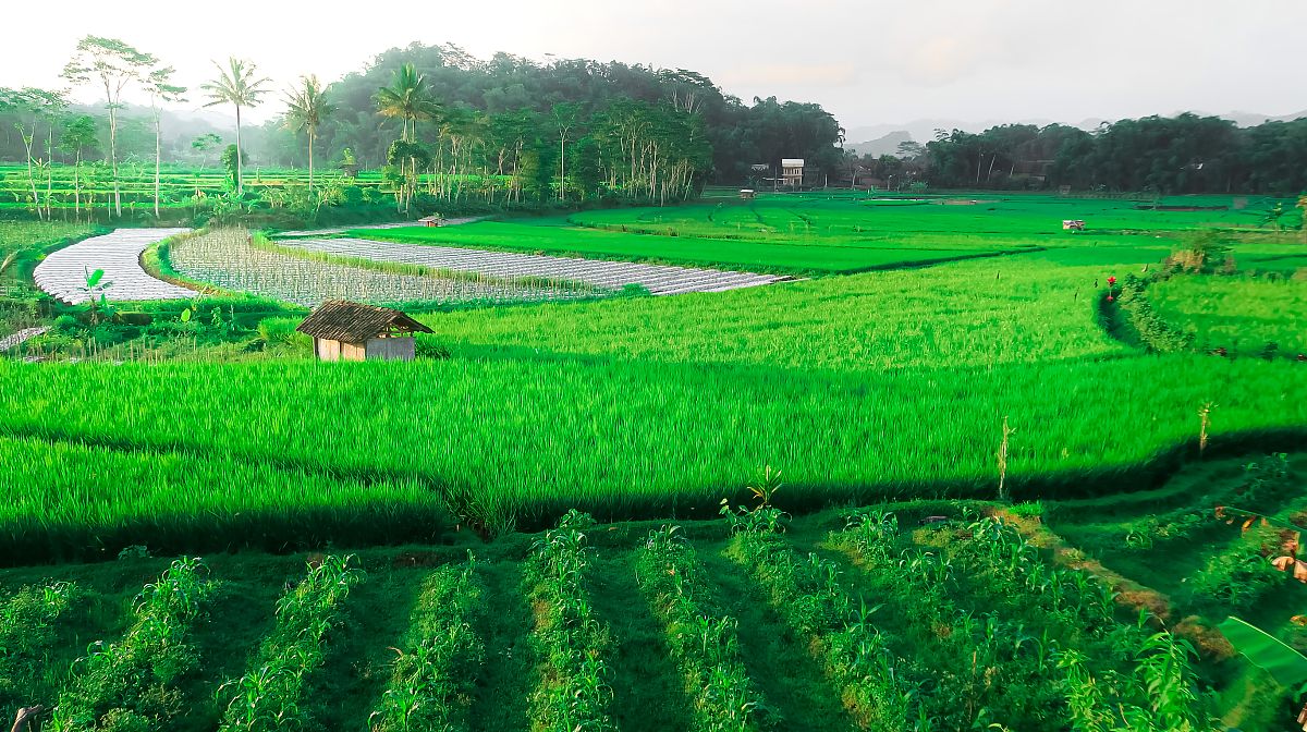 绵阳师范学院四川县域经济发展研究中心协办四川省县域绿色发展路径研究座谈会