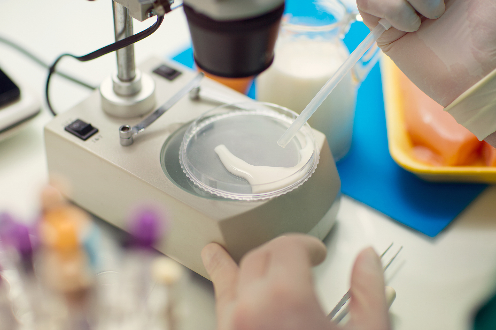 天津大学食品科学与工程专业怎么样