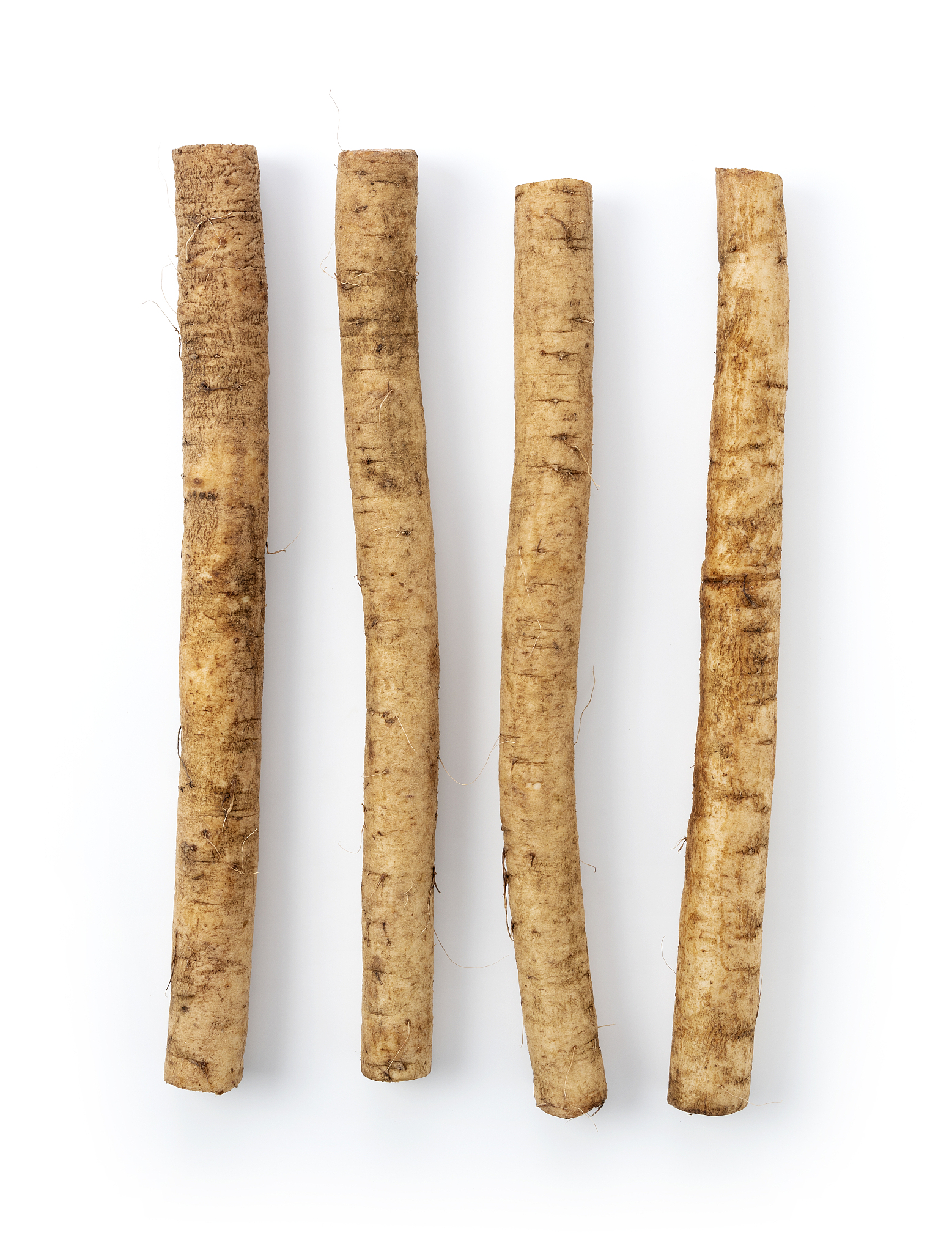 a burdock placed on a white background