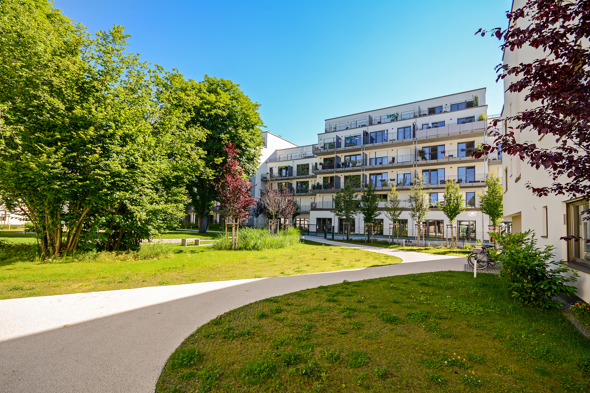 modern residential buildings in a green environment, sustainable