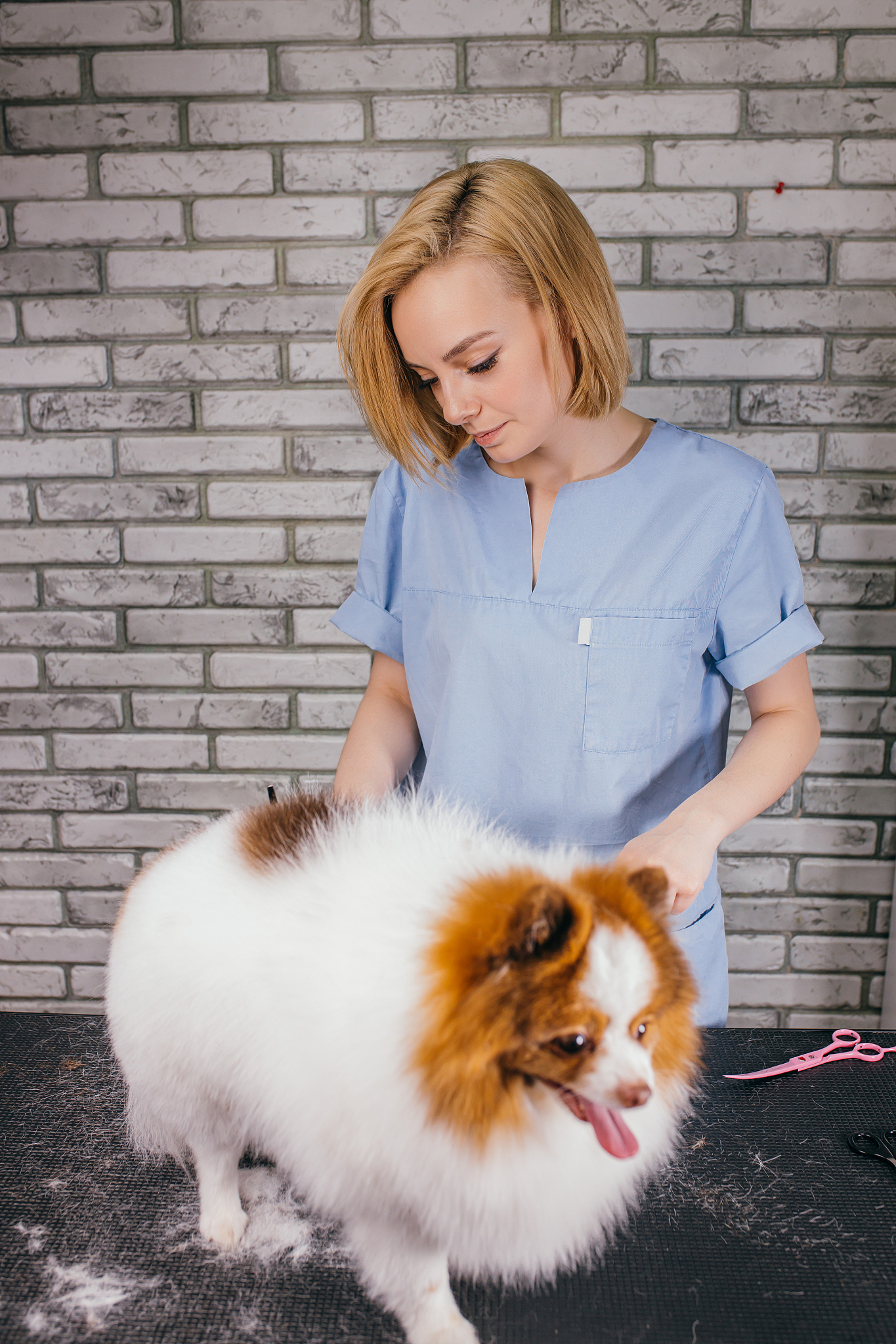 河南农业职业学院宠物养护与疫病防治专业怎么样好学吗