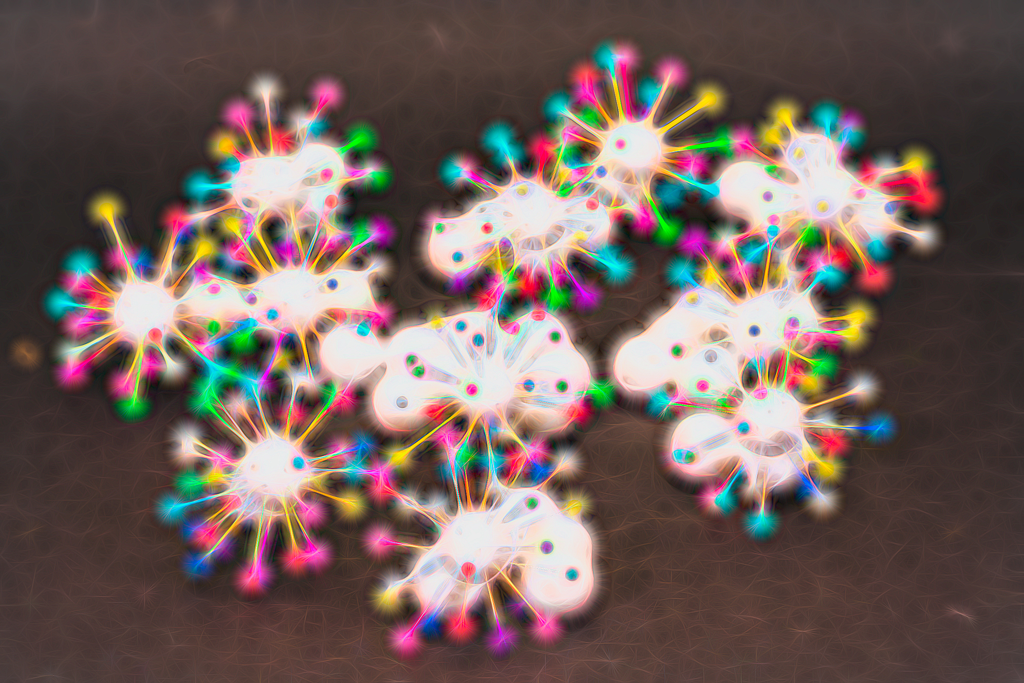 南京卫生学校2022年招生简章