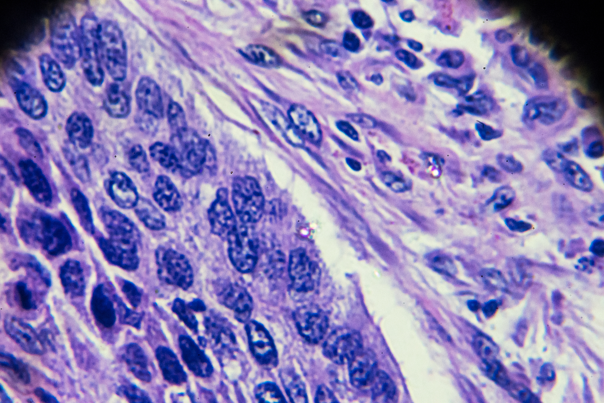 重庆卫生学校普通护理专业课程详解 - 全面、实践、师资力量雄厚