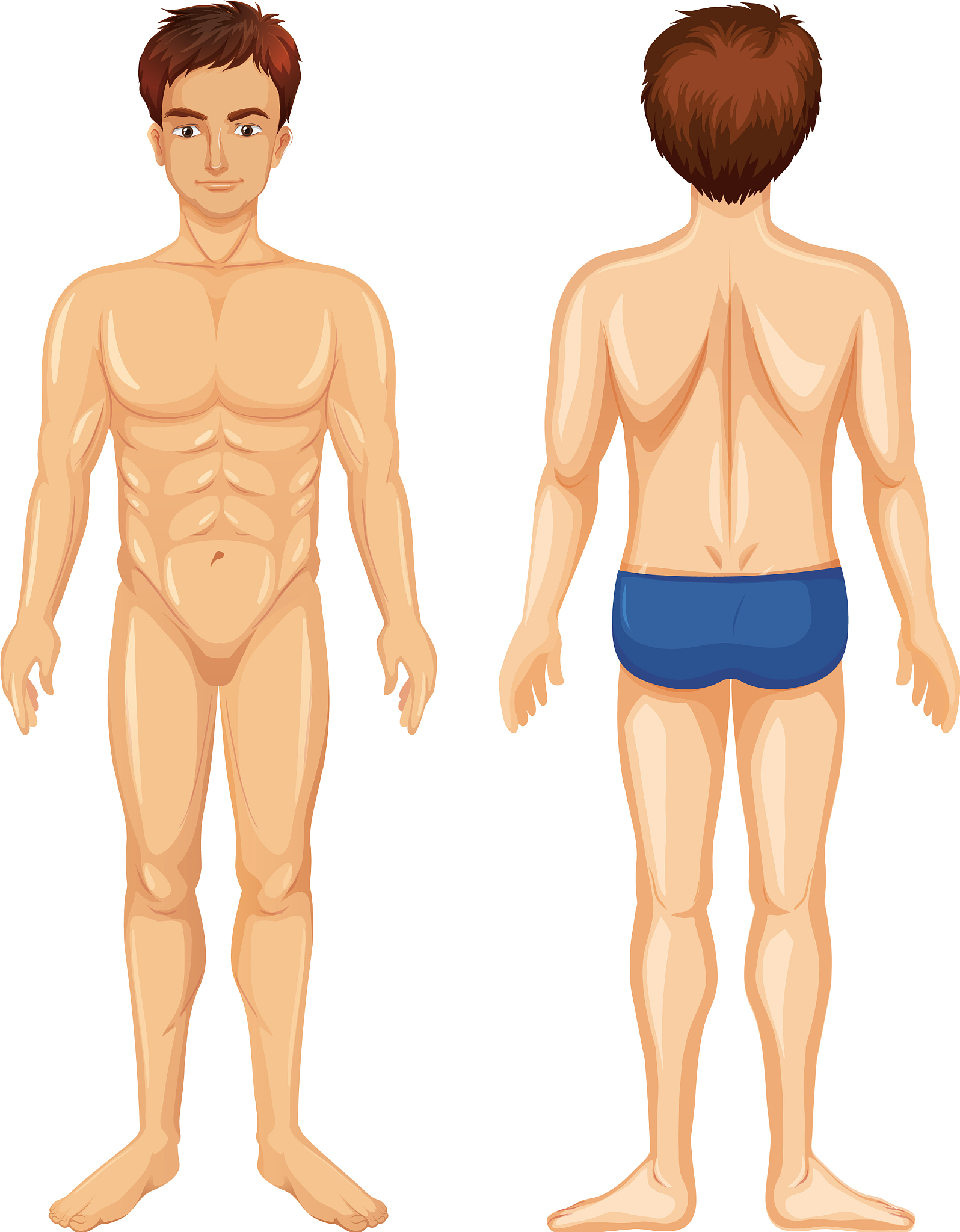 长春医学高等专科学校助产专业课程设置有哪些