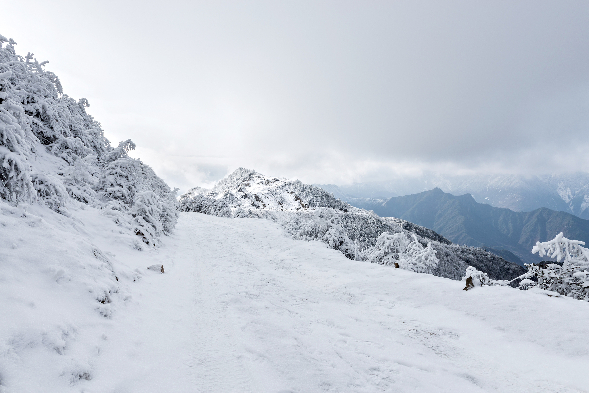 四川省质量技术监督学校的就业保障和学校管理