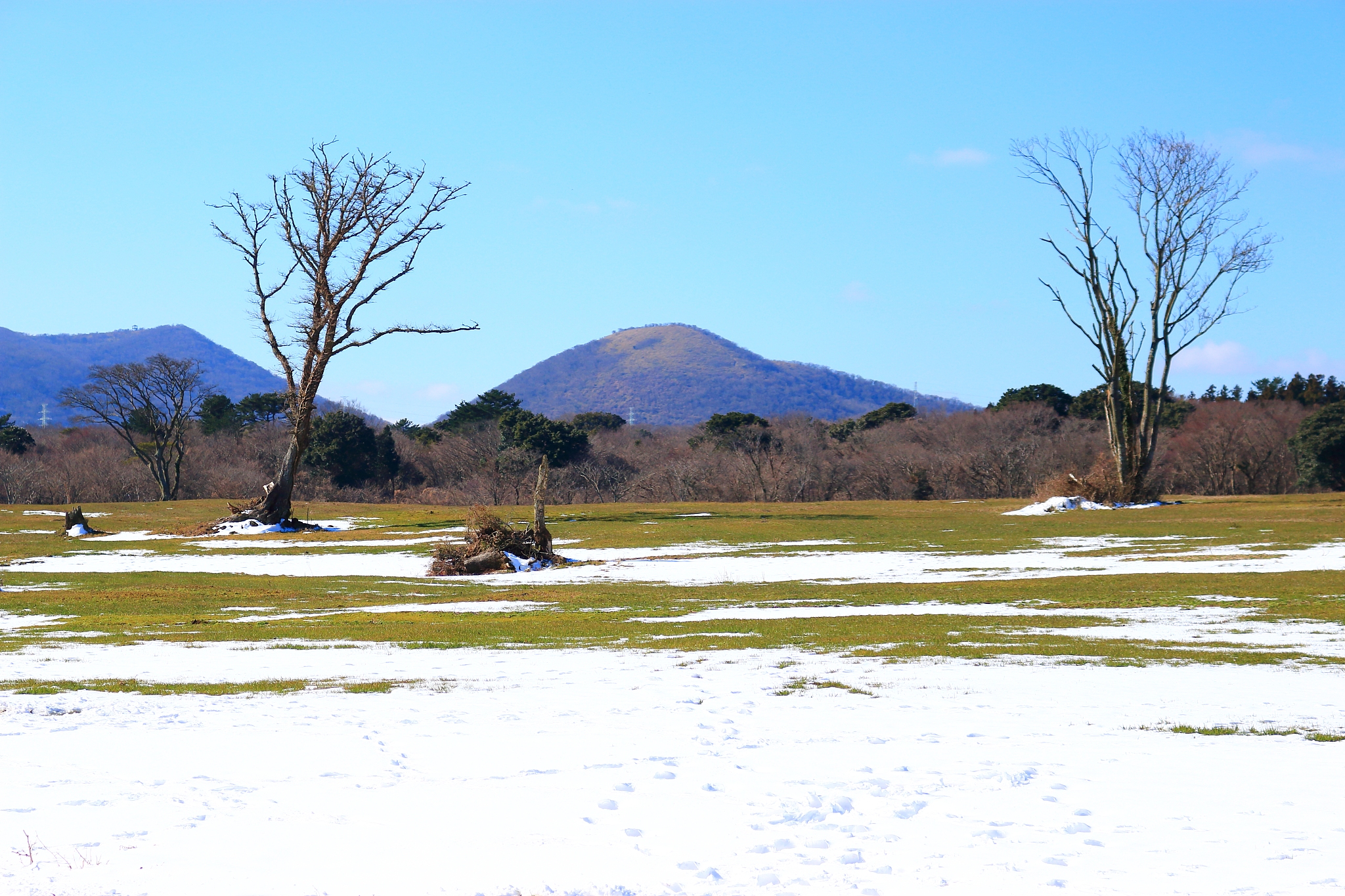 pasture, pasture, field