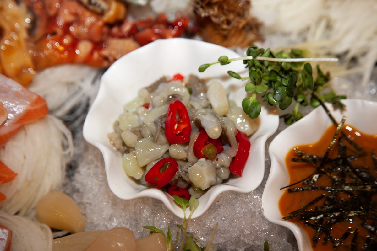 文蛤和章鱼的解剖步骤 - 生物学实验指南