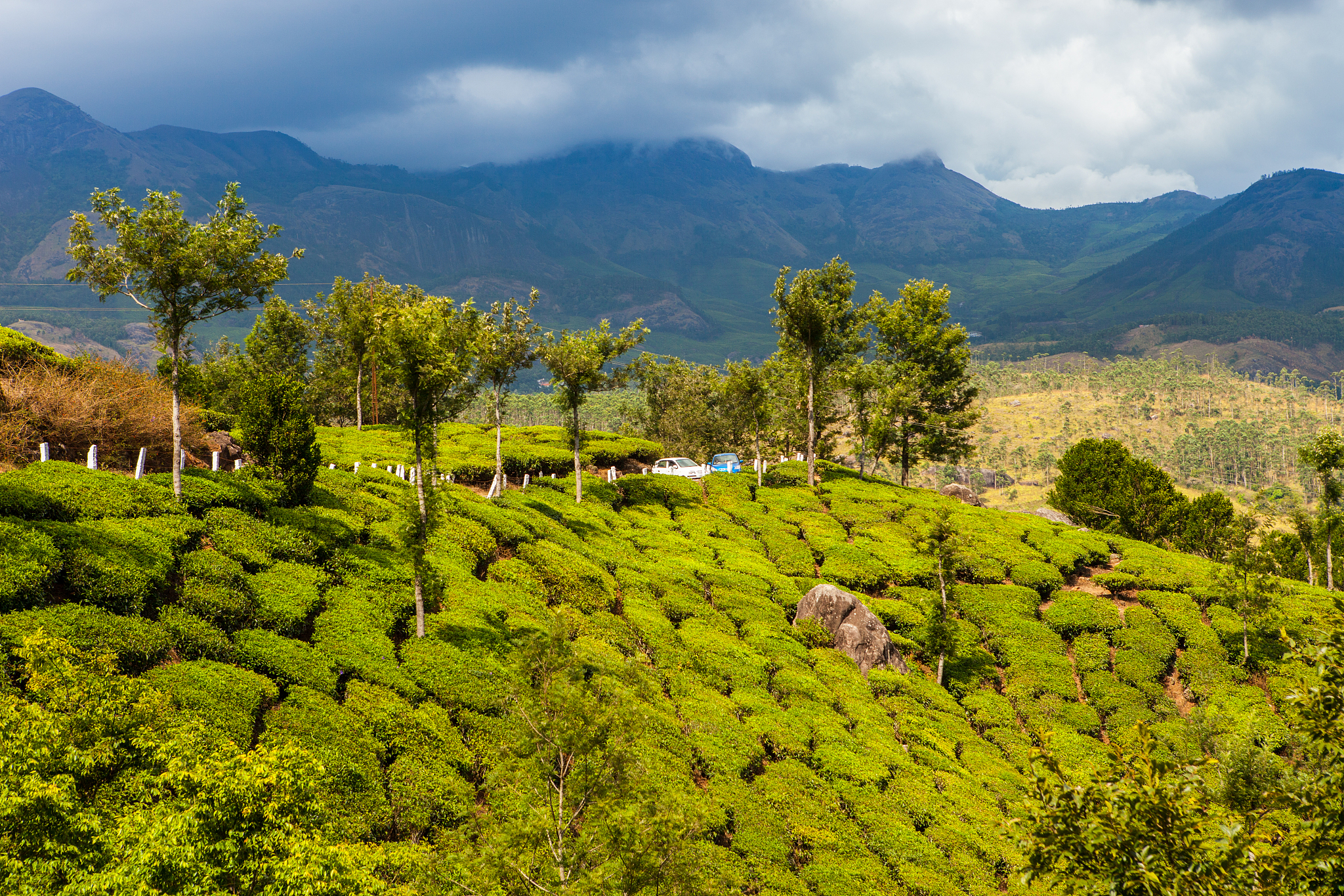 玉溪旅游攻略：特色景点、未来发展全解析