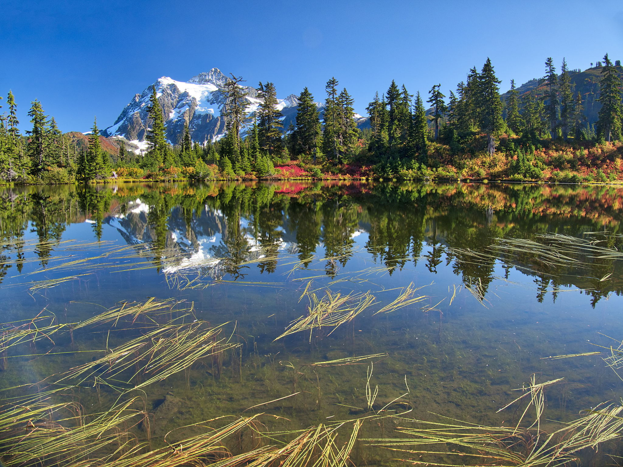 Breathtaking Nature Scenery: Discover the World's Beauty