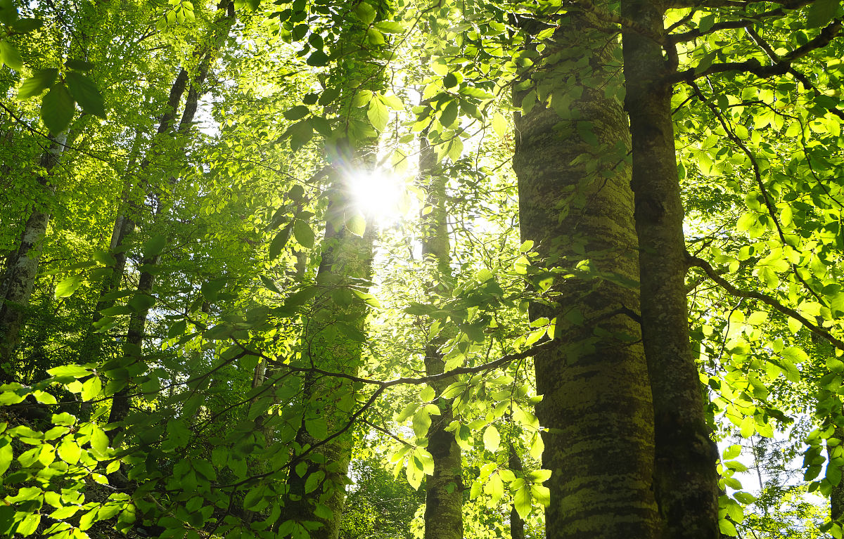 能量清洁与平衡：你会有哪些感受？