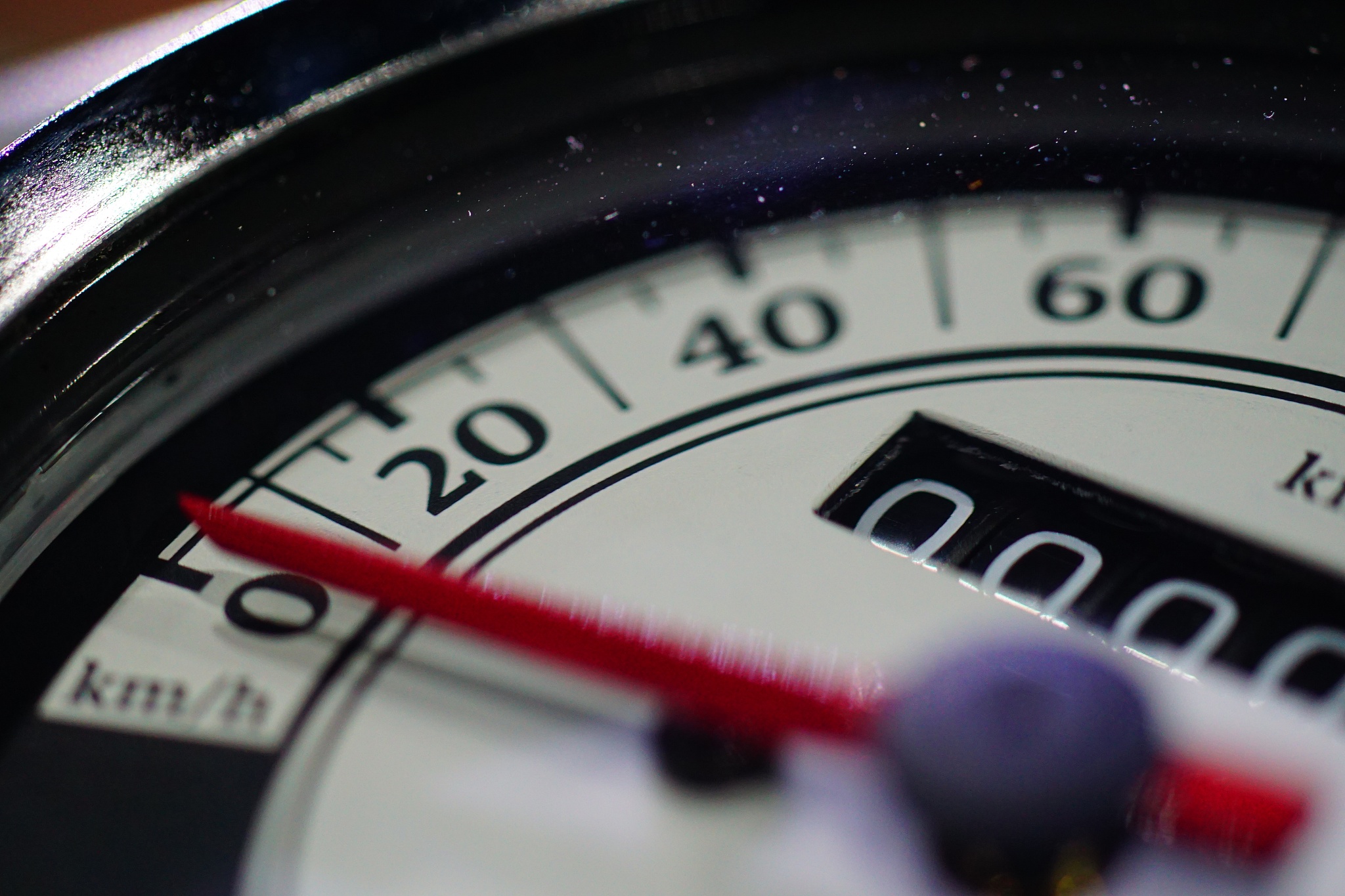 马鞍山市体育运动学校招生简章(2023)-专业设置及报名条件