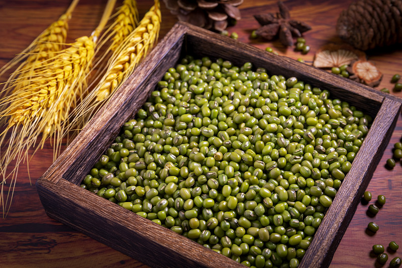 浙江农业商贸职业学院绿色食品生产技术专业就业前景|市场需求大,毕业即就业
