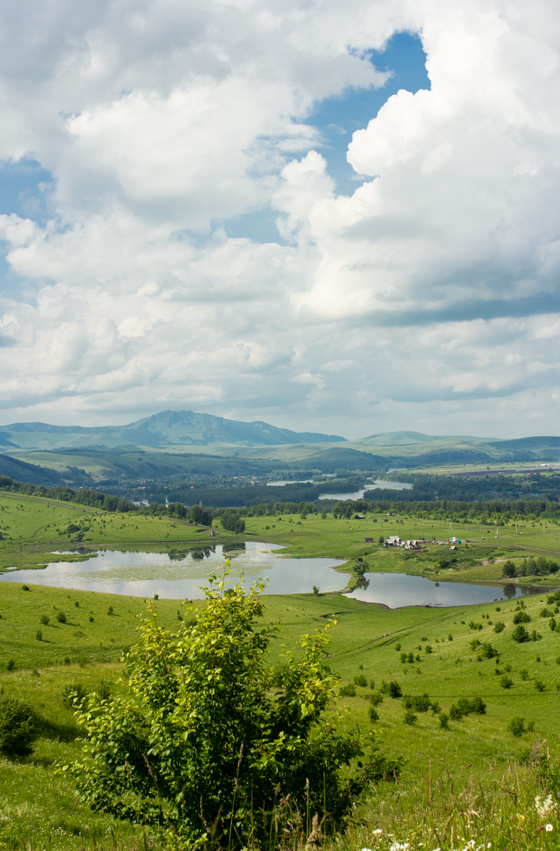 中国东北适宜居住吗