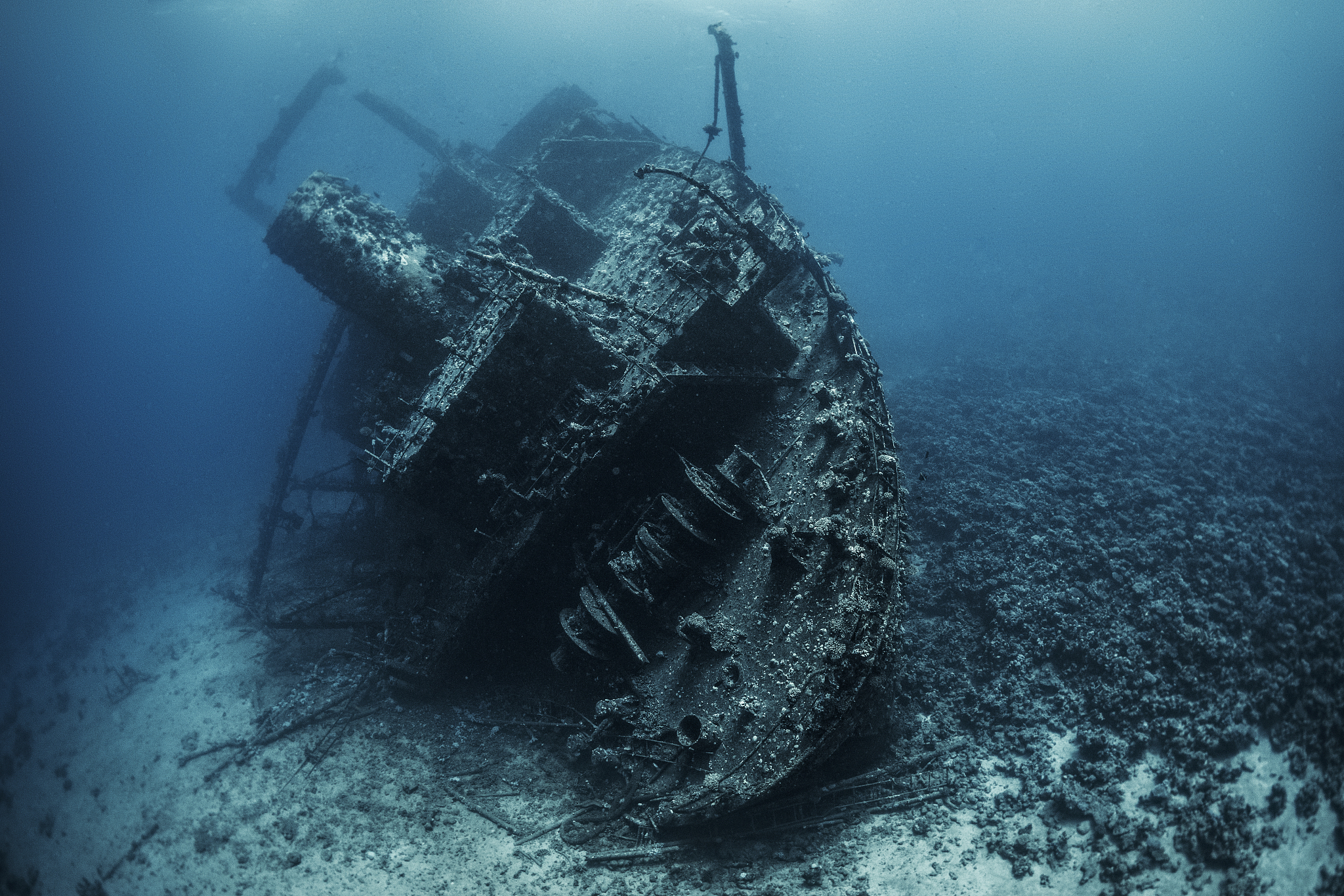 huge rusty shipwreck completely overgrown by corals and algae ly