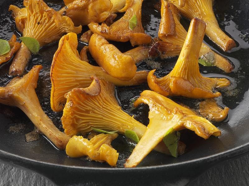 草原铁骨丹限时特惠，买2送1！原价980元/盒，现仅需498元/盒！